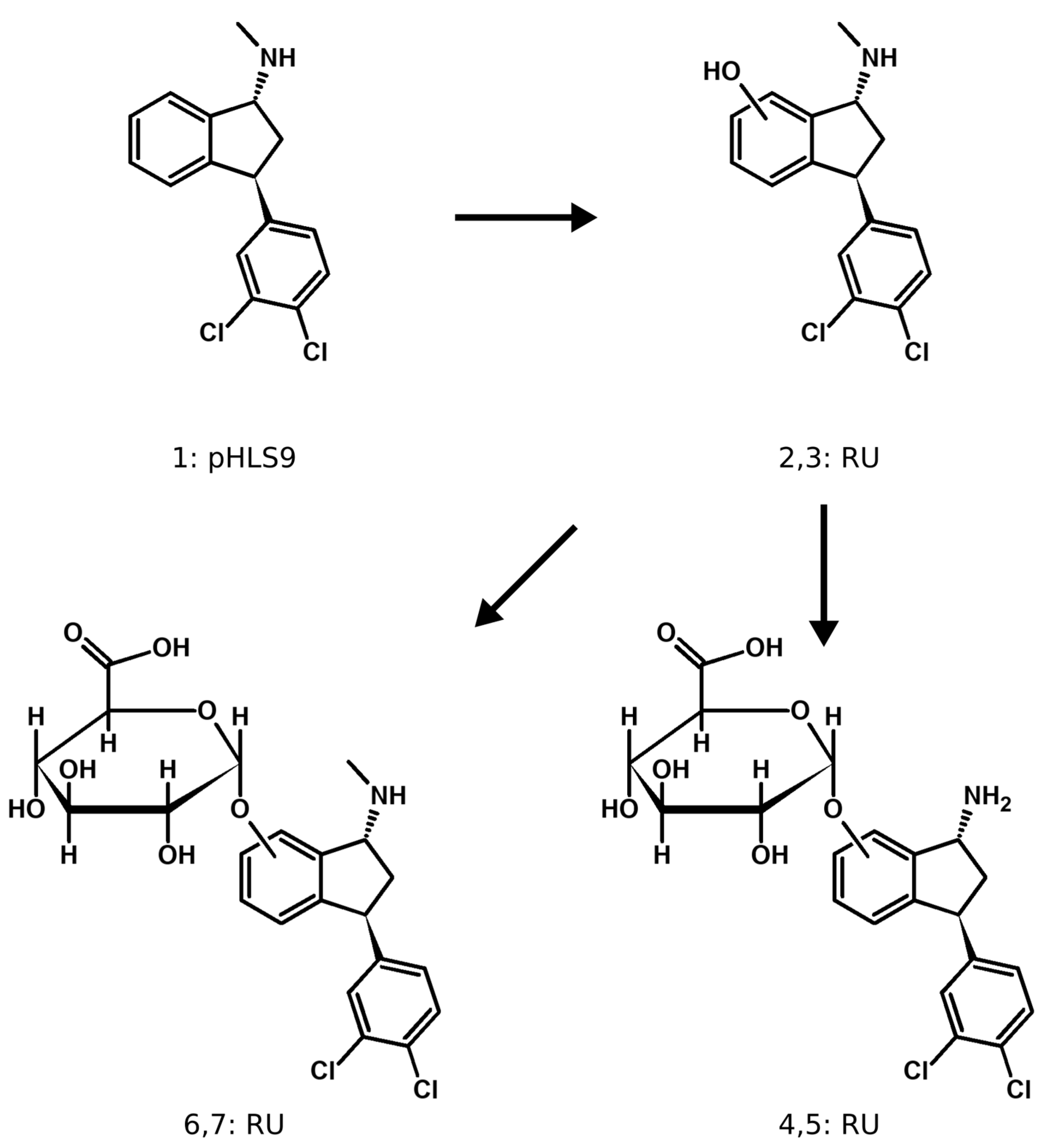 Metabolites 14 00342 g004