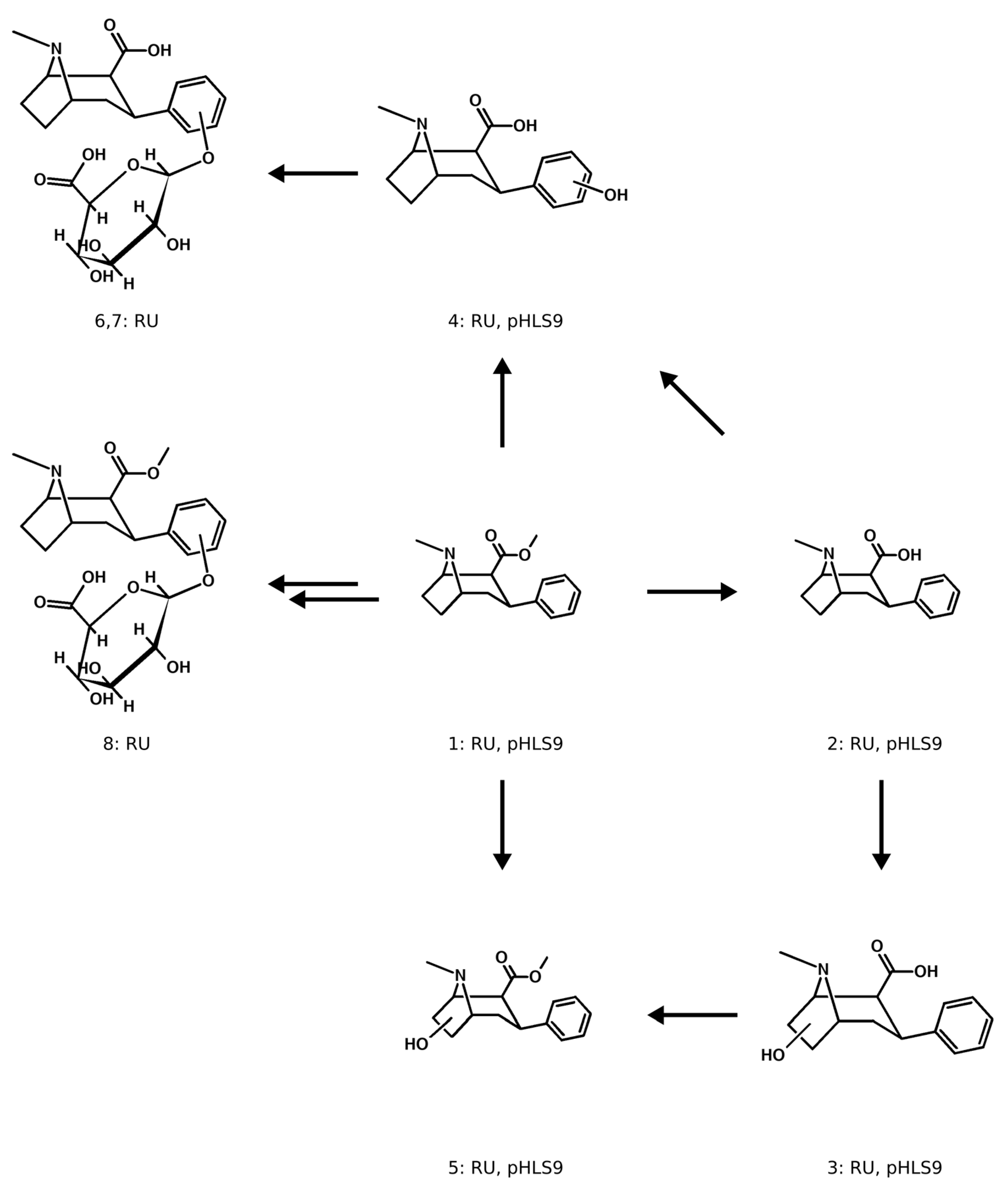 Metabolites 14 00342 g005