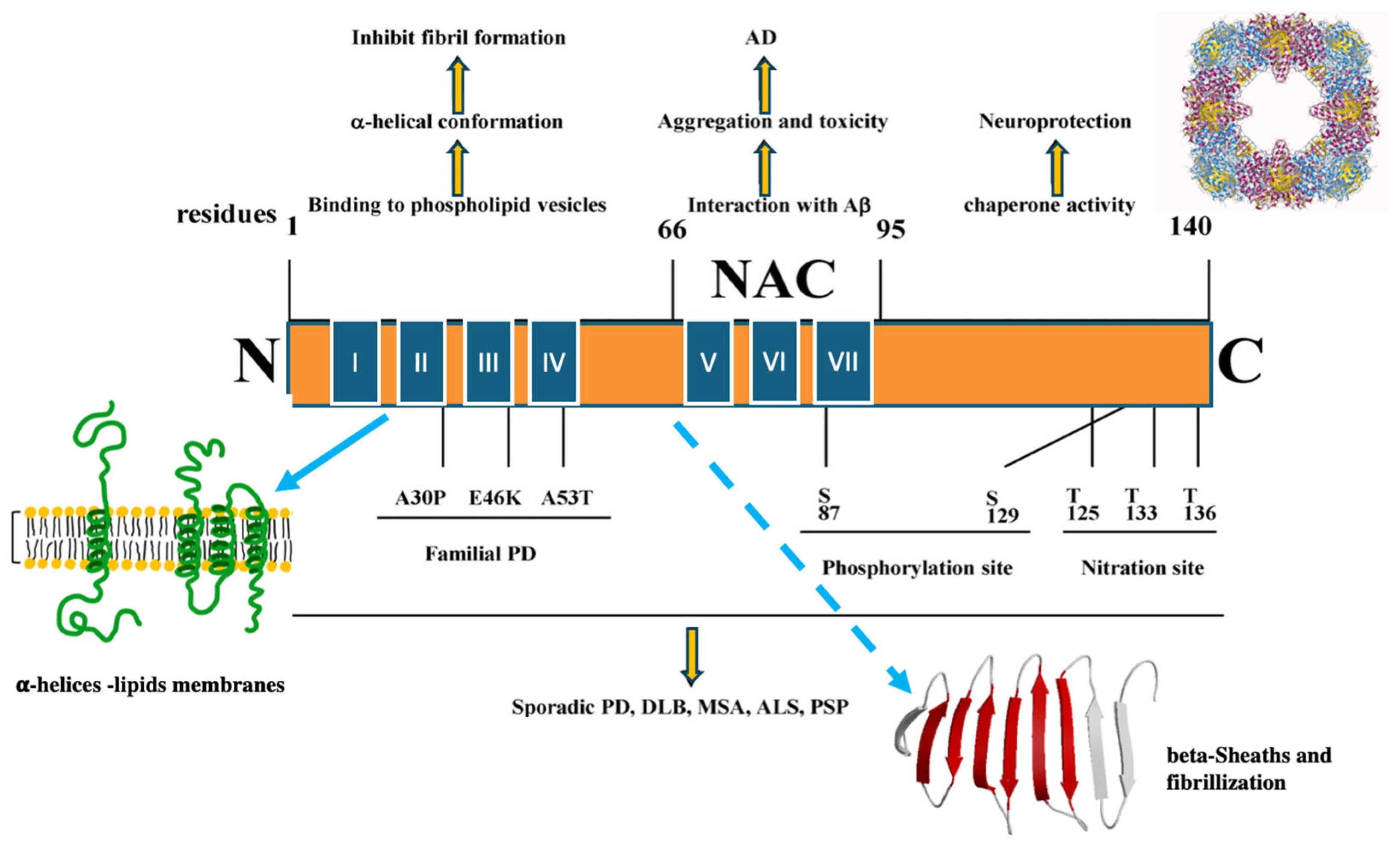 Metabolites 14 00352 g001