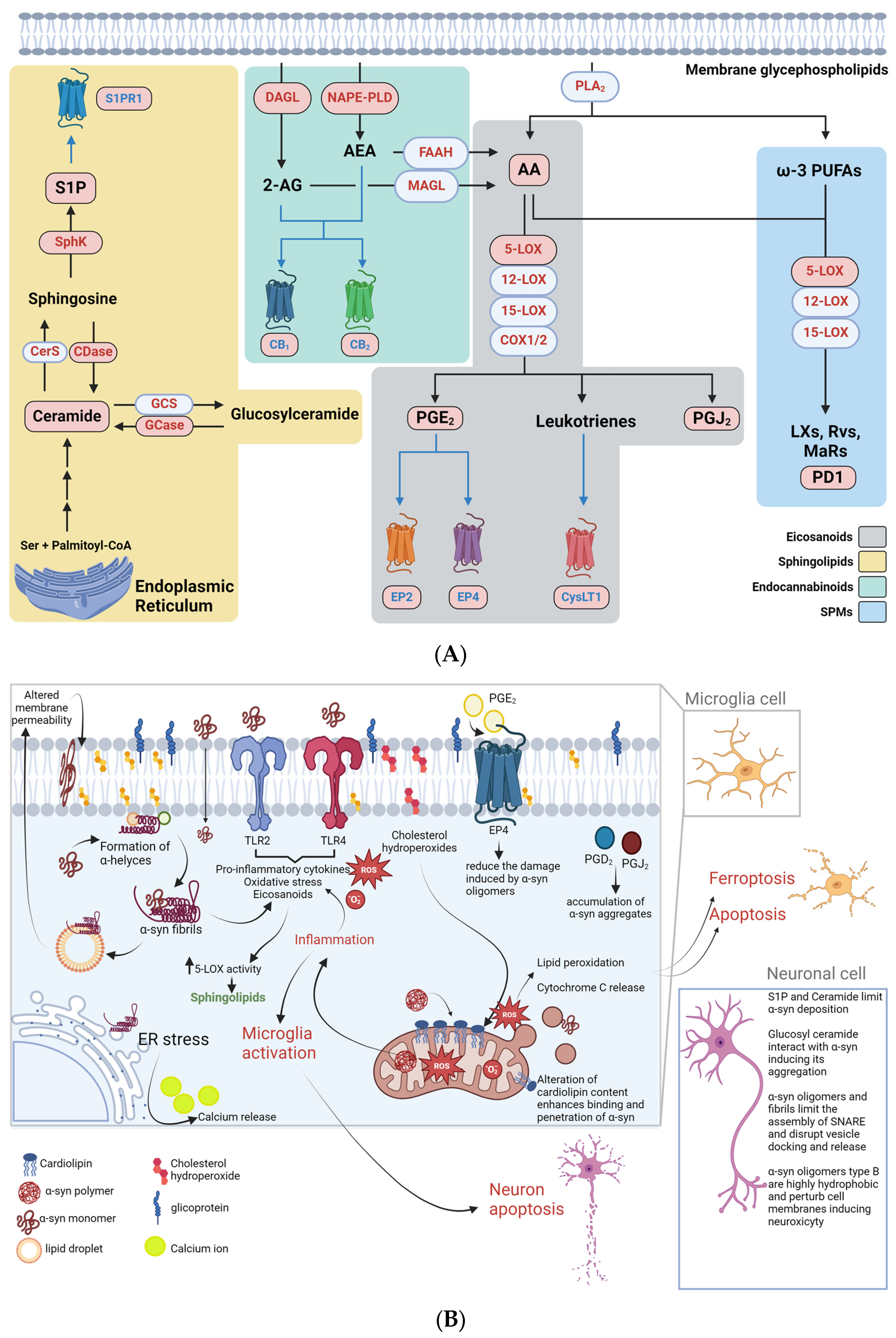 Metabolites 14 00352 g002