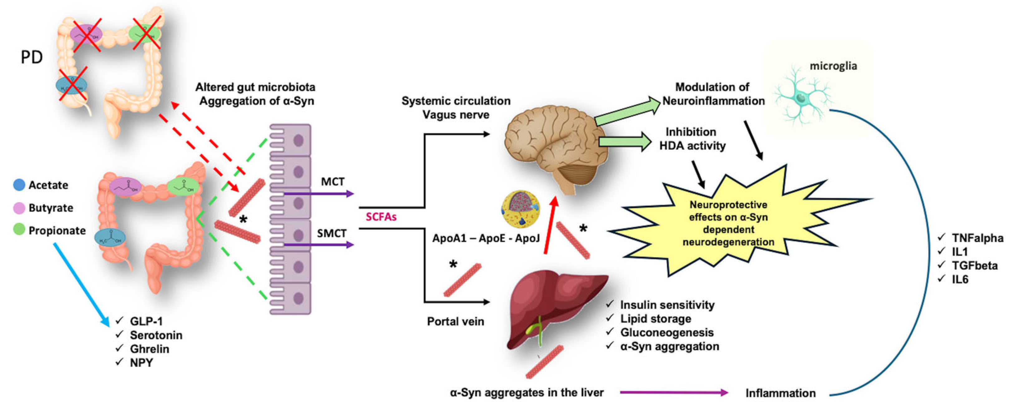 Metabolites 14 00352 g003