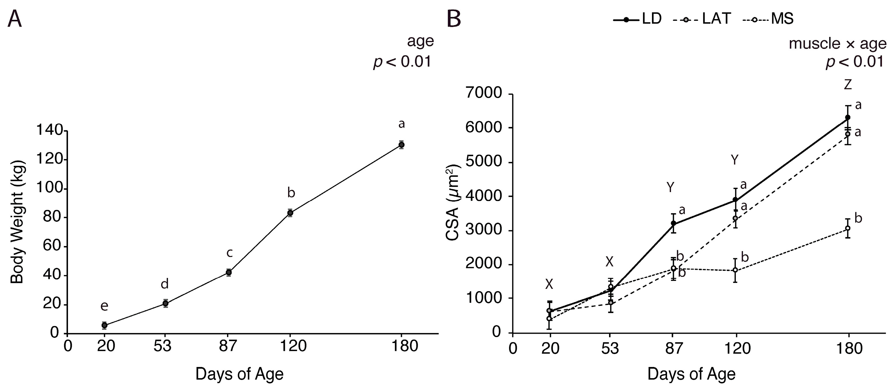 Metabolites 14 00357 g001