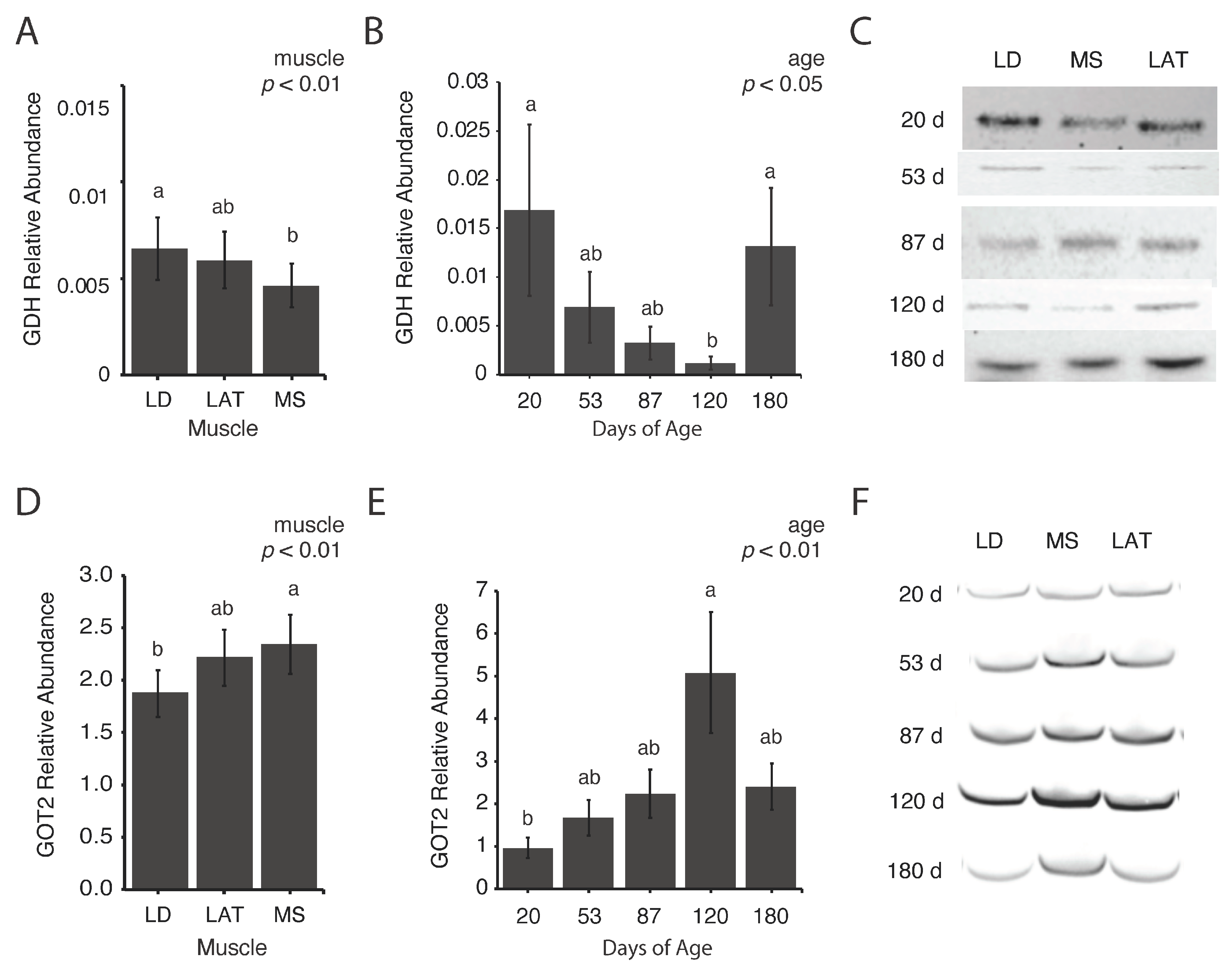 Metabolites 14 00357 g004