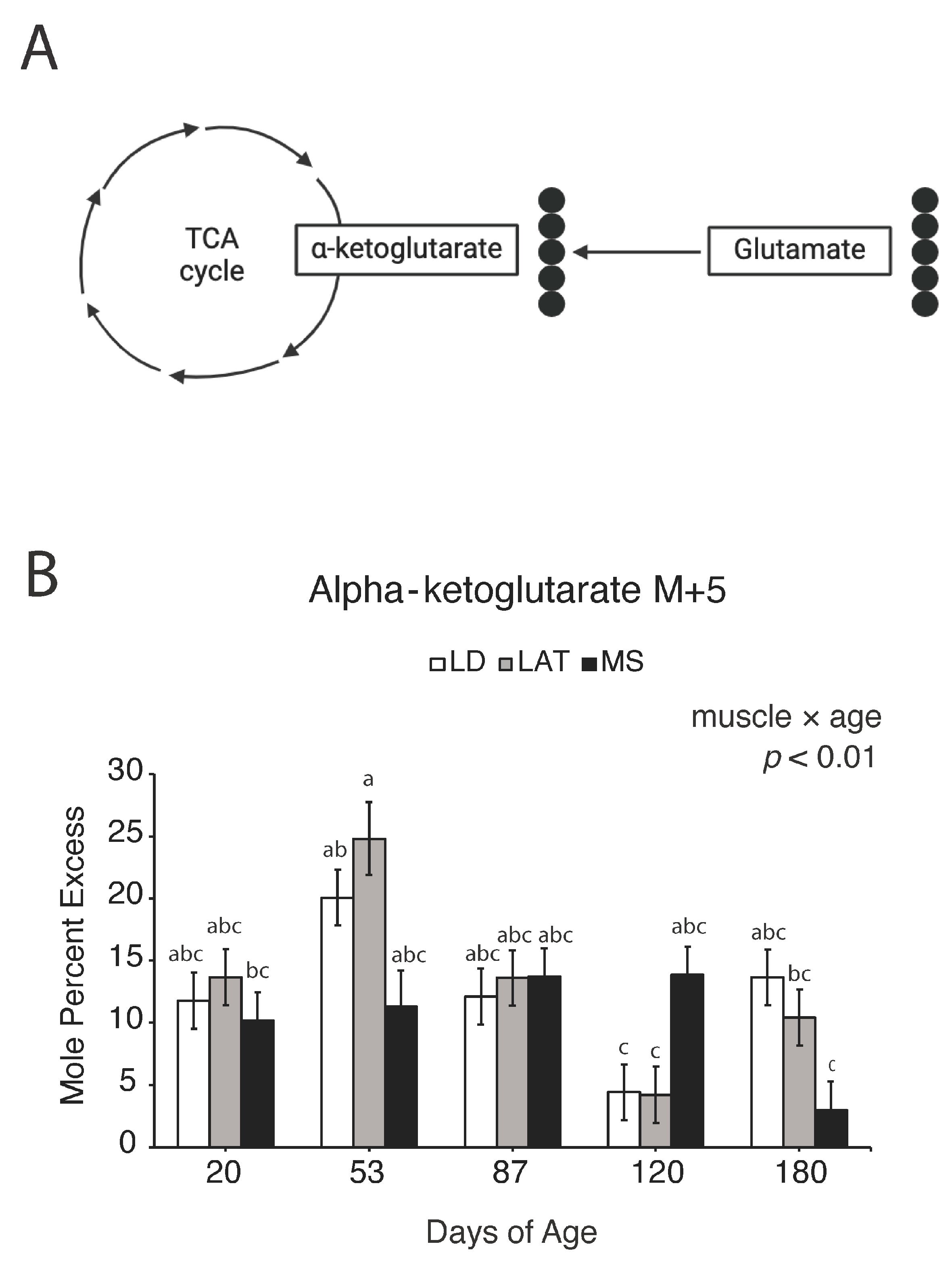 Metabolites 14 00357 g009