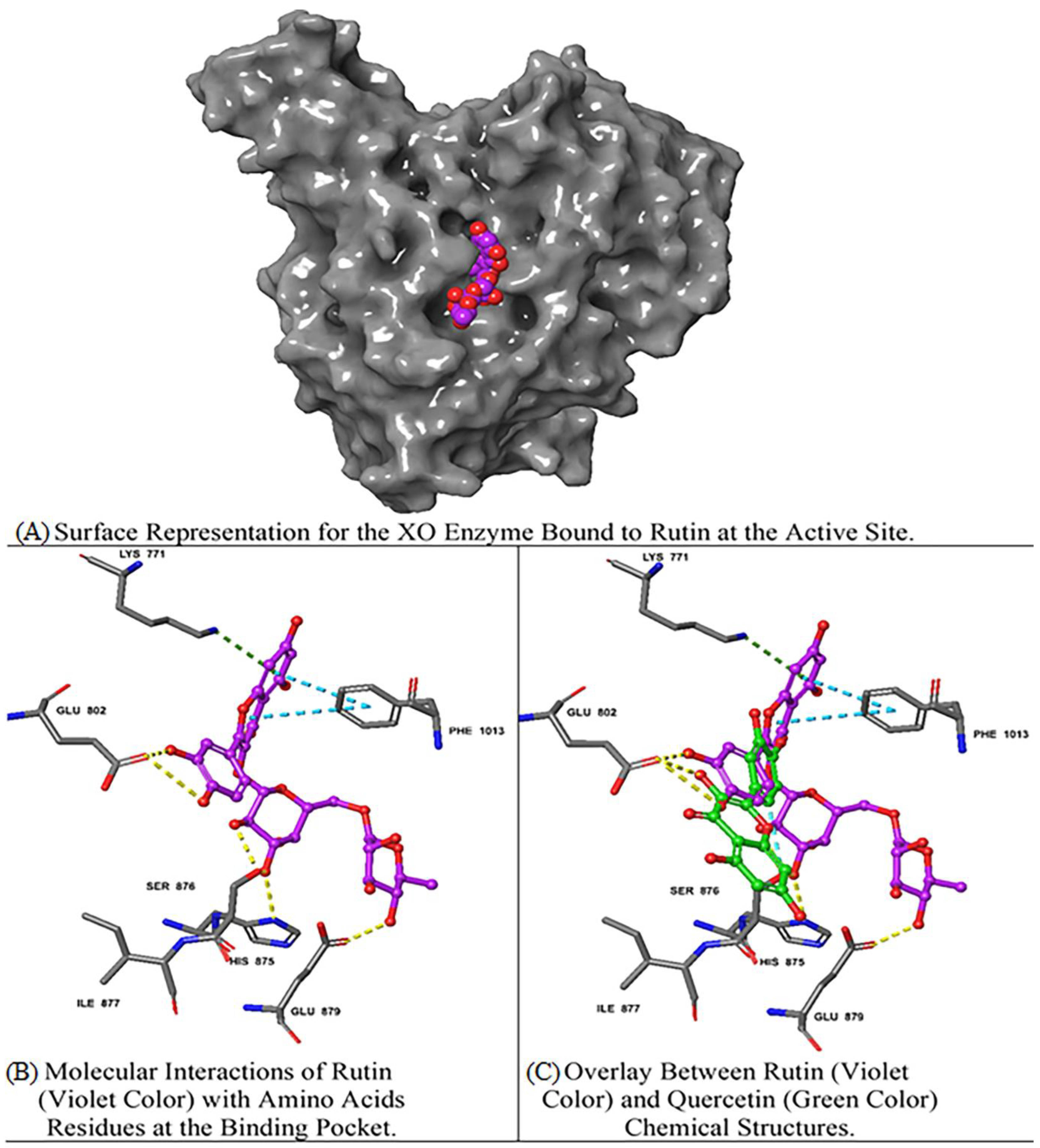 Metabolites 14 00368 g003 Metabolites 14 00368 g003