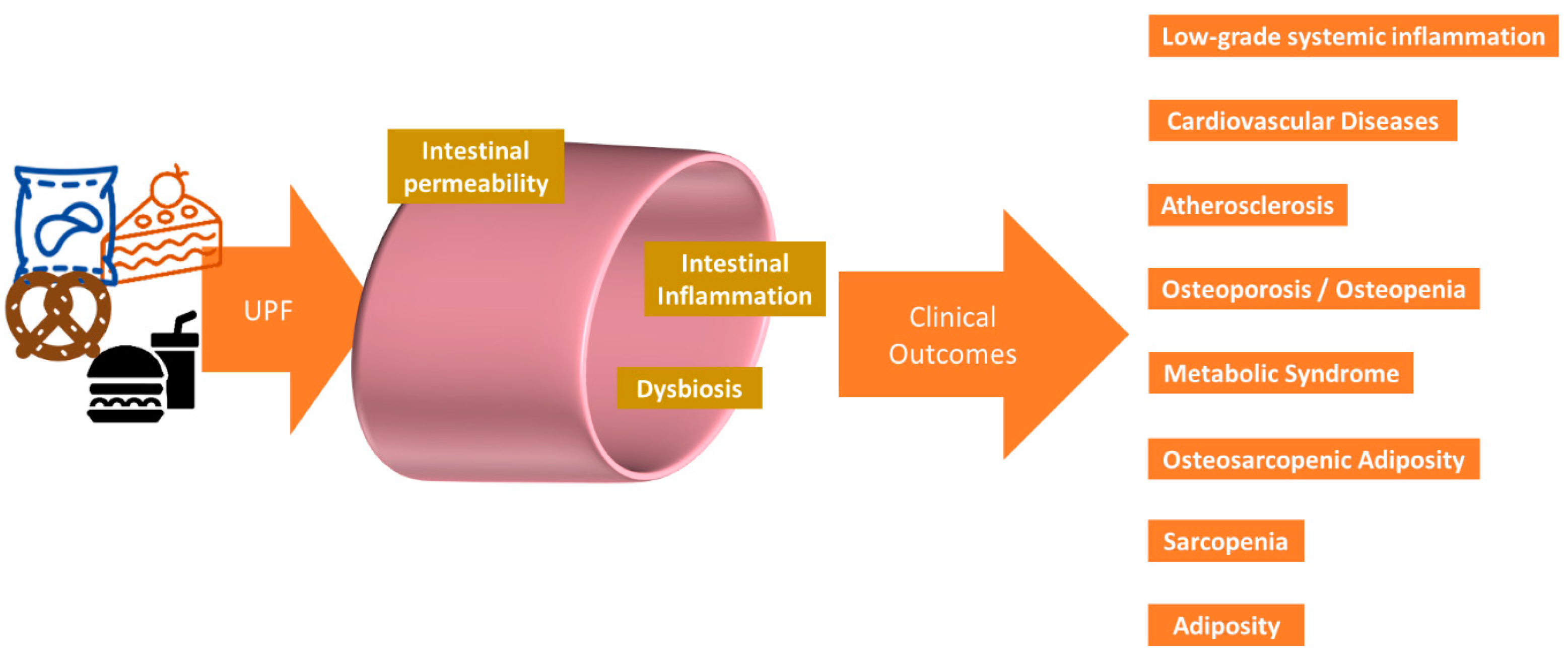 Metabolites 14 00379 g003