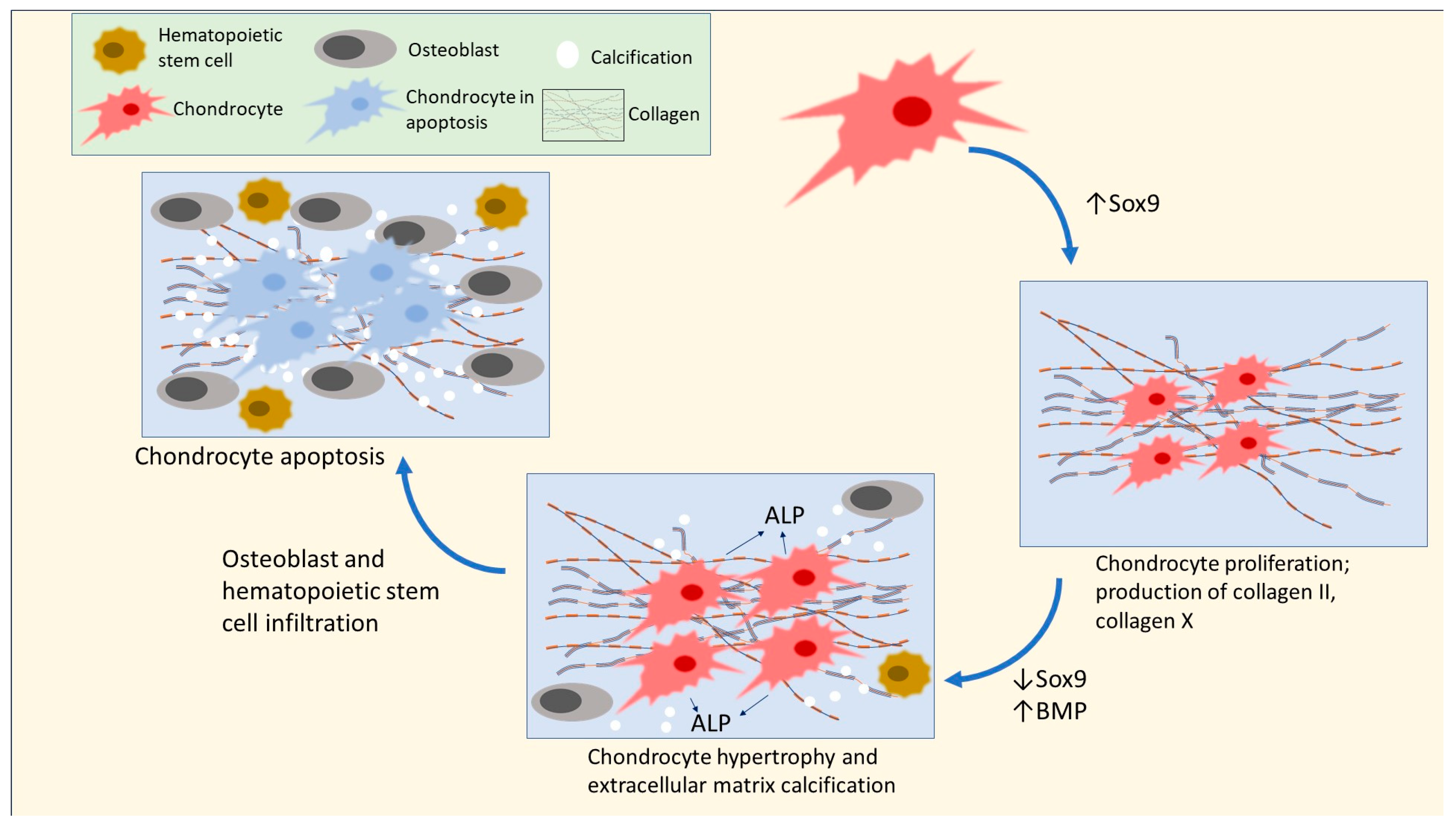 Metabolites 14 00379 g004