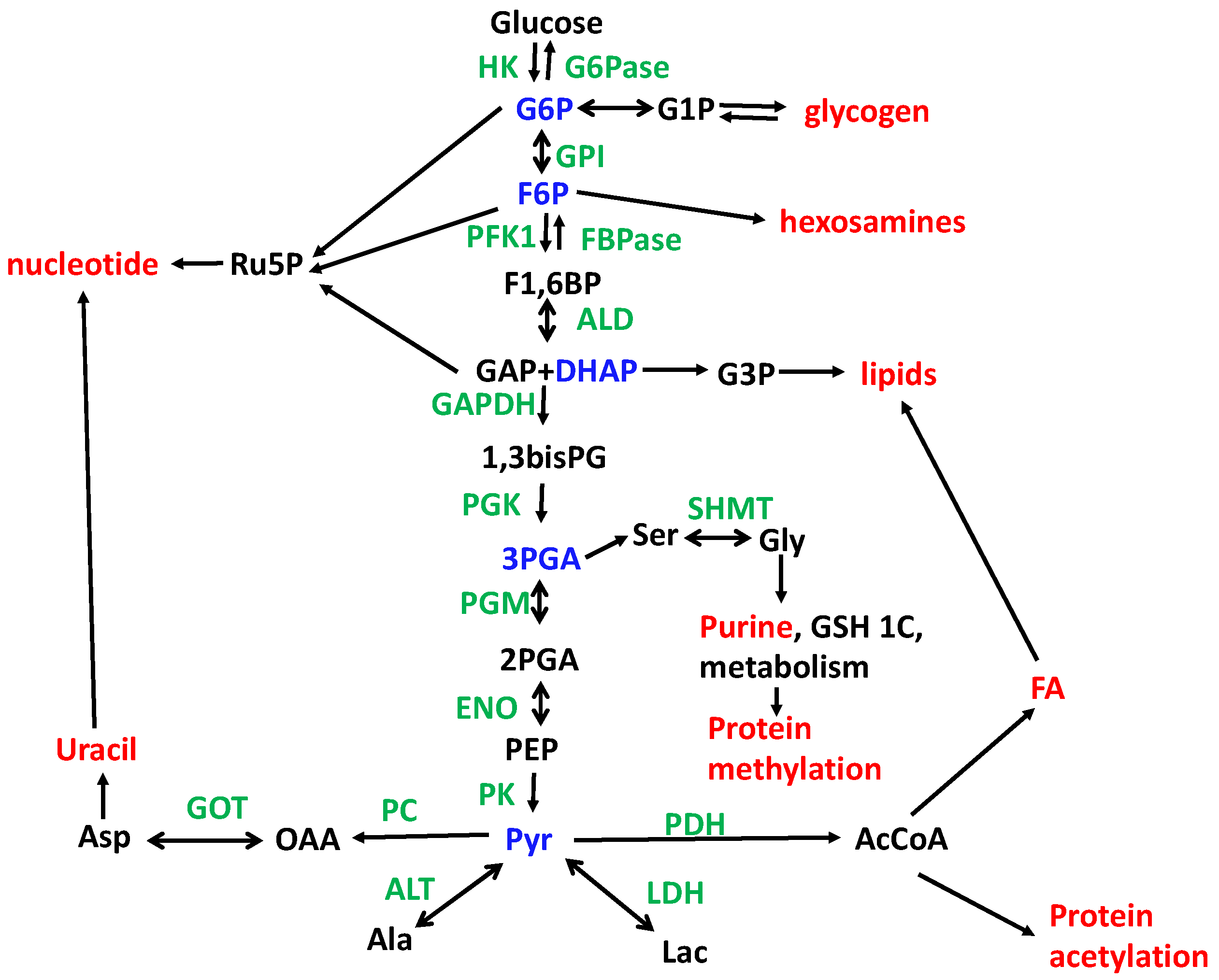 Metabolites 14 00383 g001