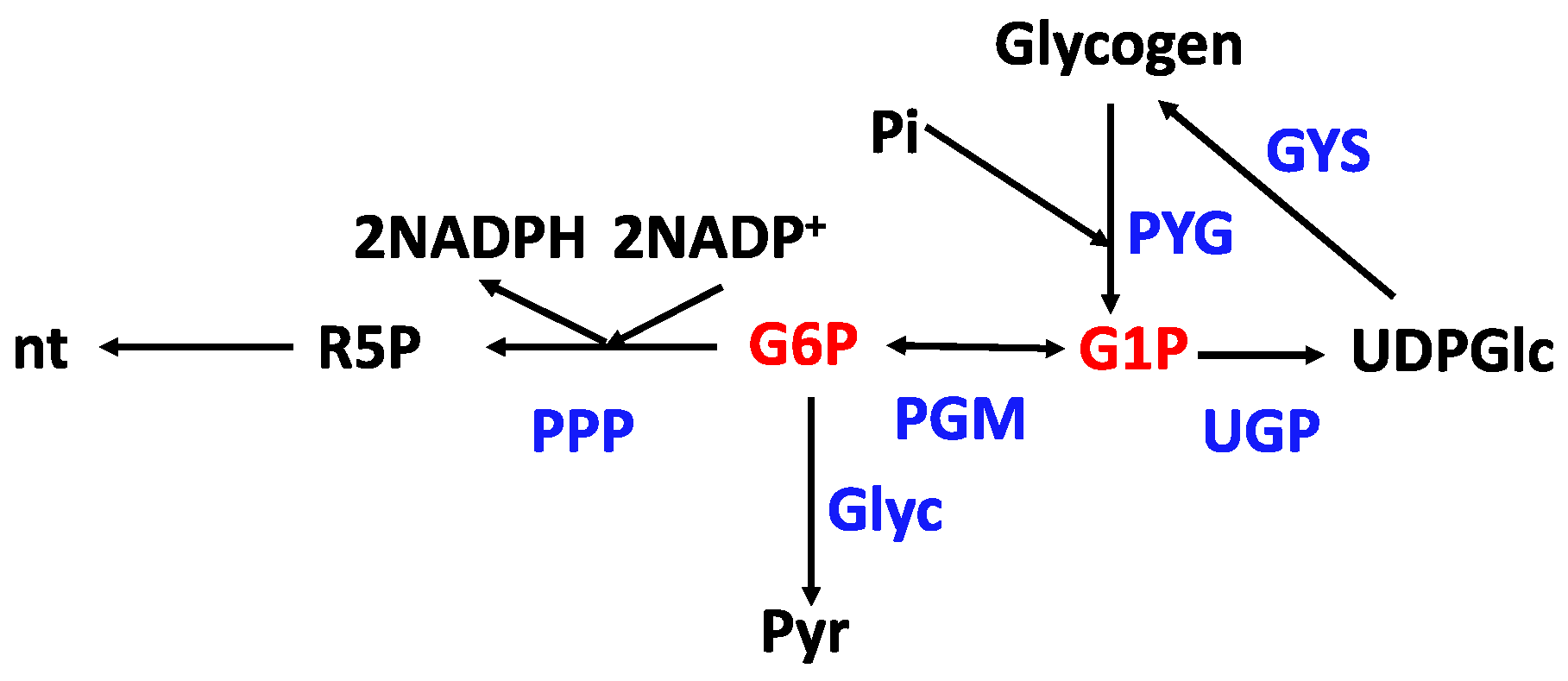 Metabolites 14 00383 g004
