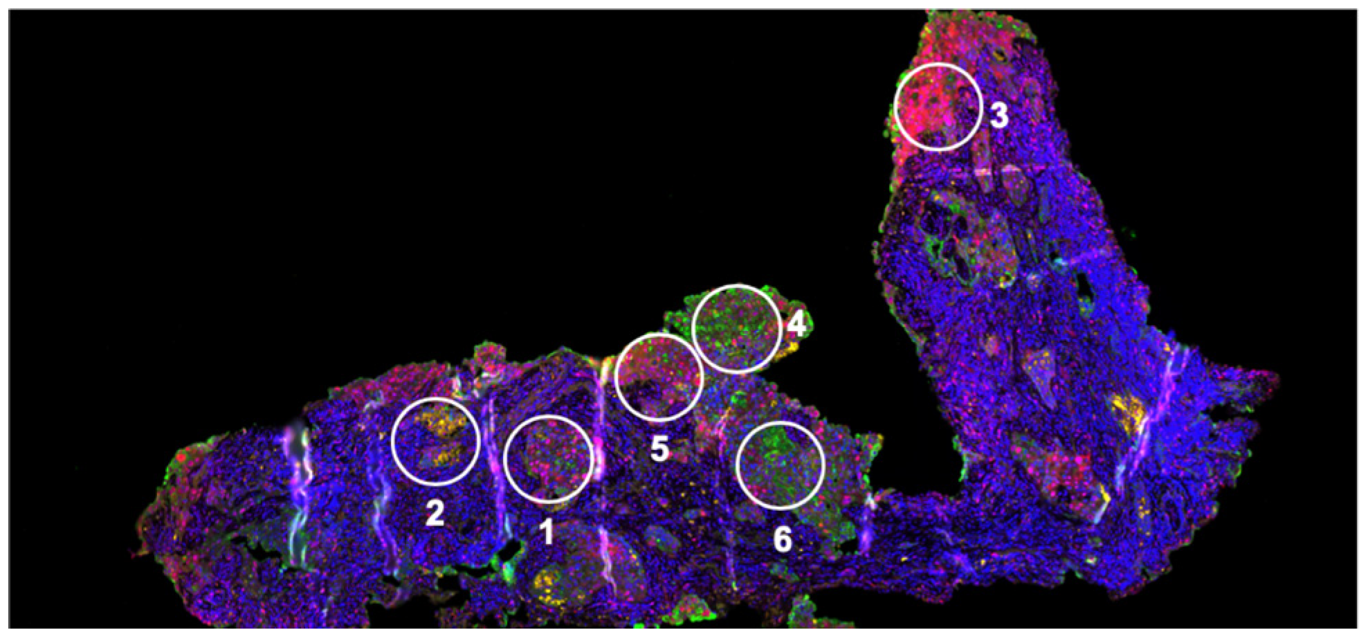 Metabolites 14 00383 g005