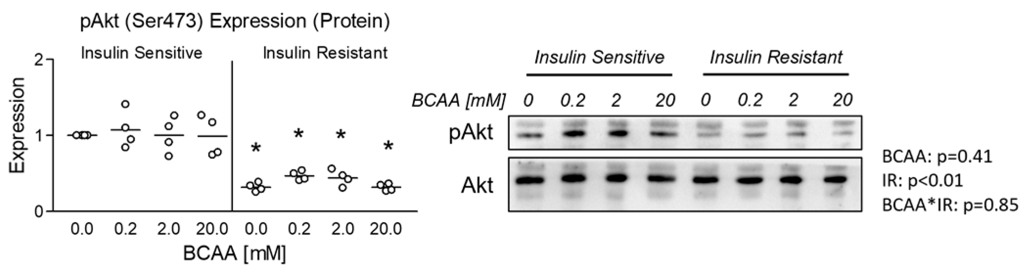 Metabolites 14 00389 g001 Metabolites 14 00389 g001