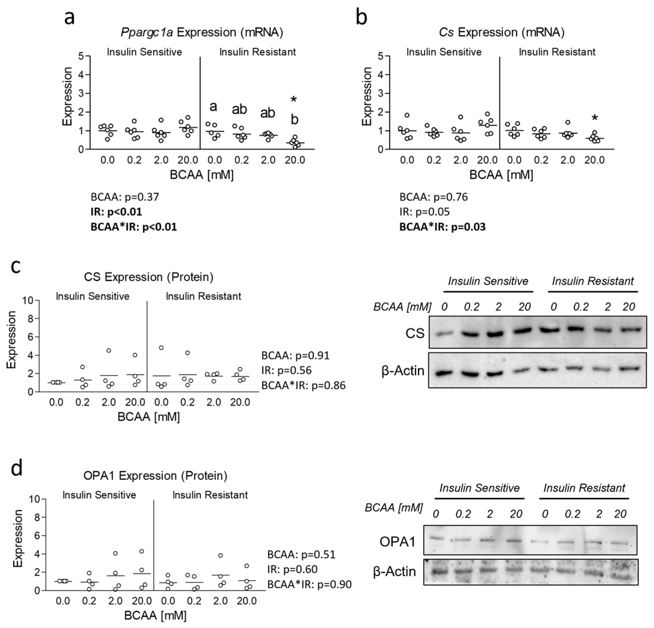 Metabolites 14 00389 g003 Metabolites 14 00389 g003