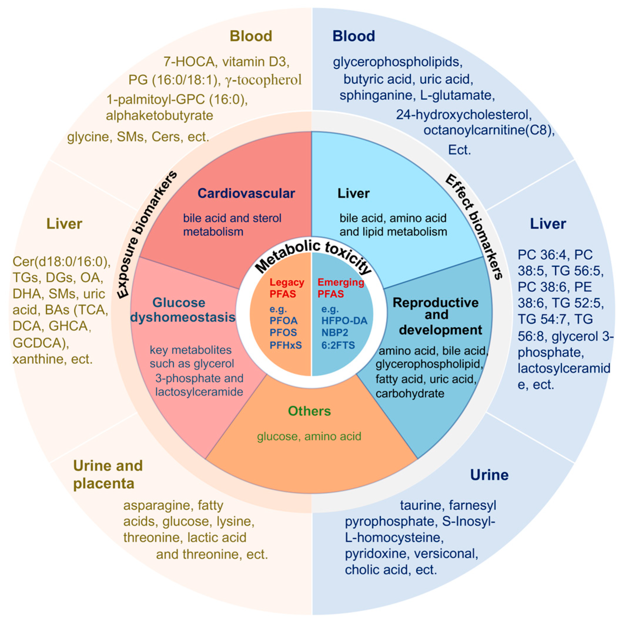 Metabolites 14 00392 g001