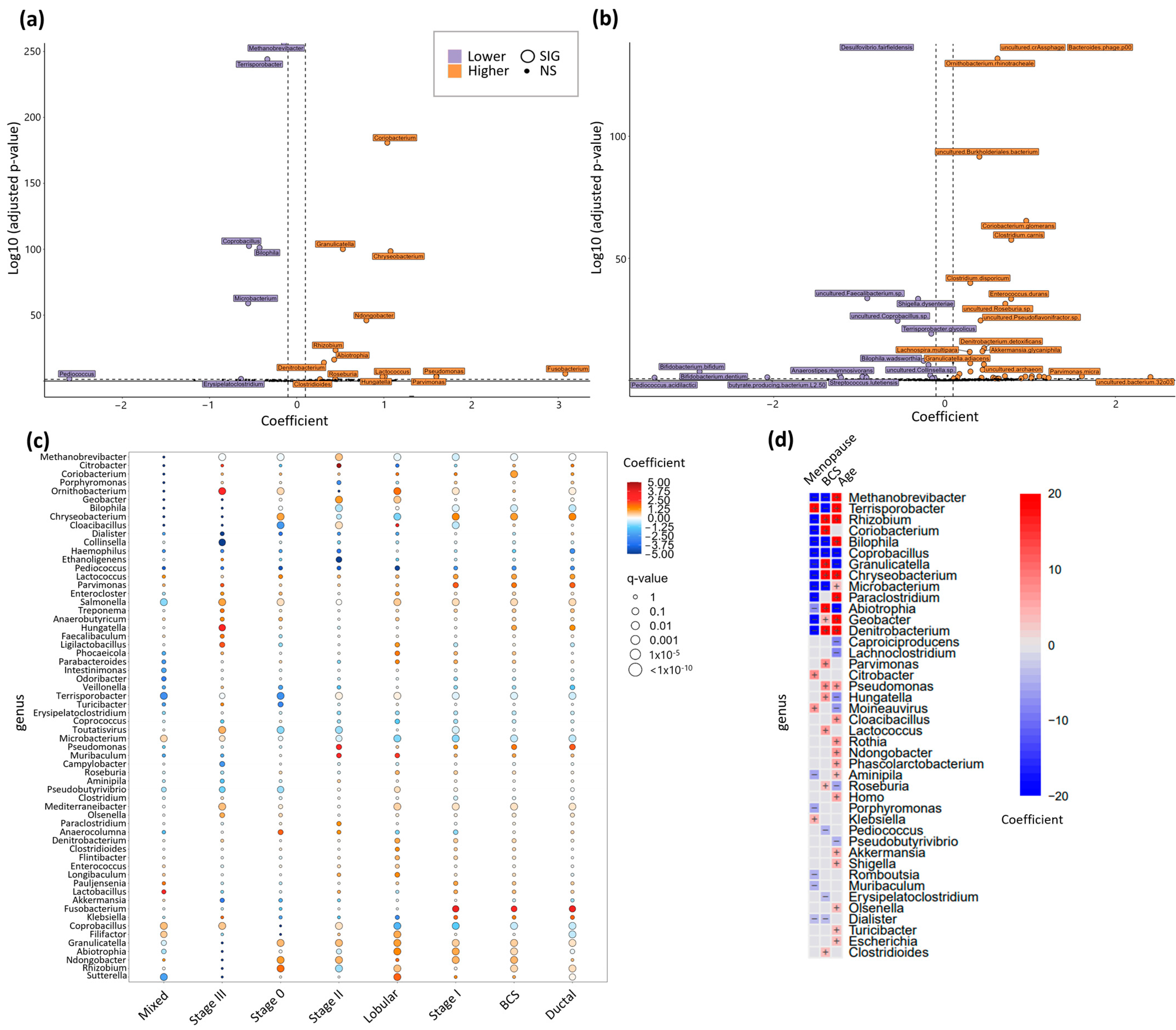 Metabolites 14 00396 g007