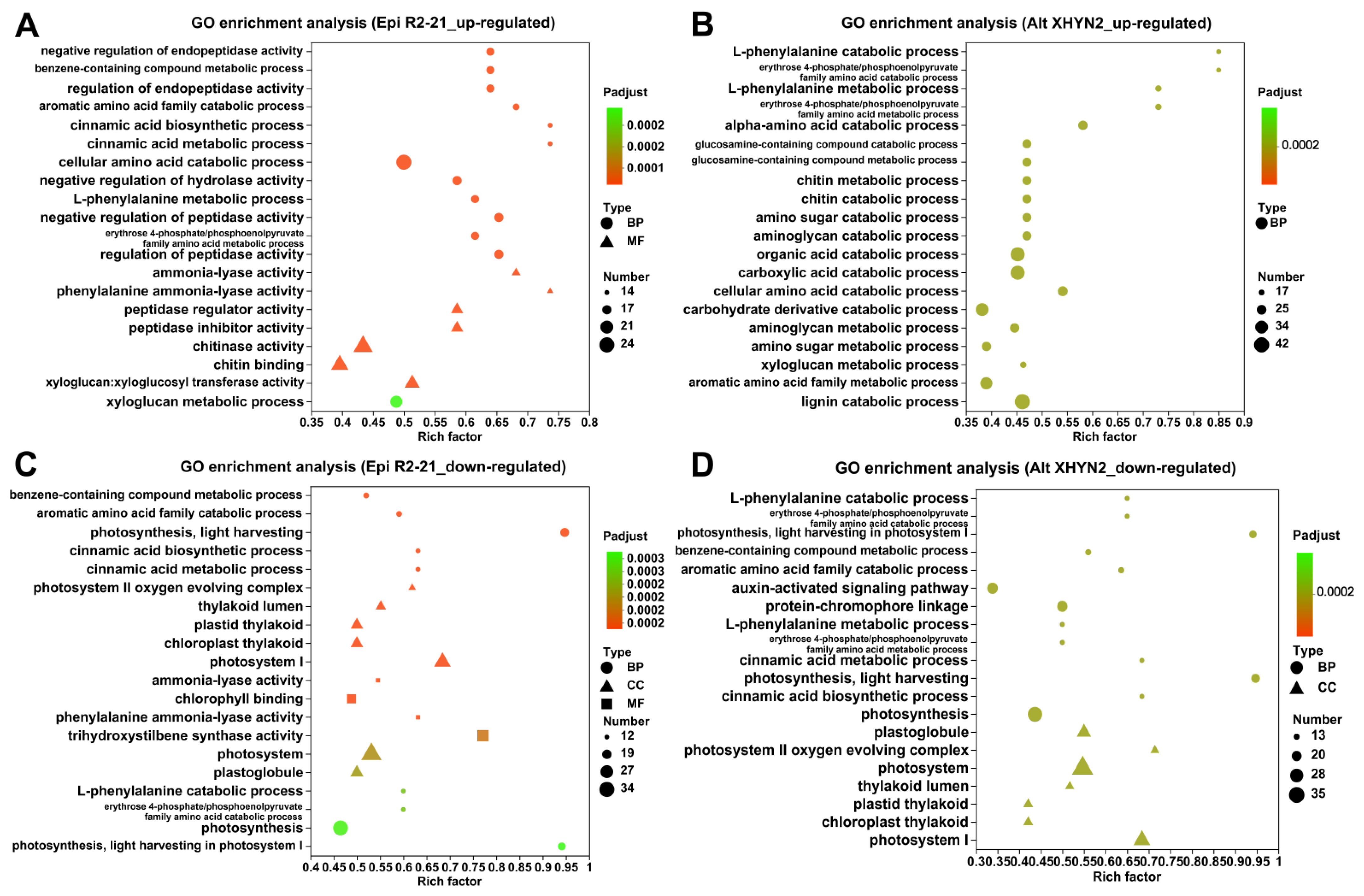 Metabolites 14 00402 g004 Metabolites 14 00402 g004