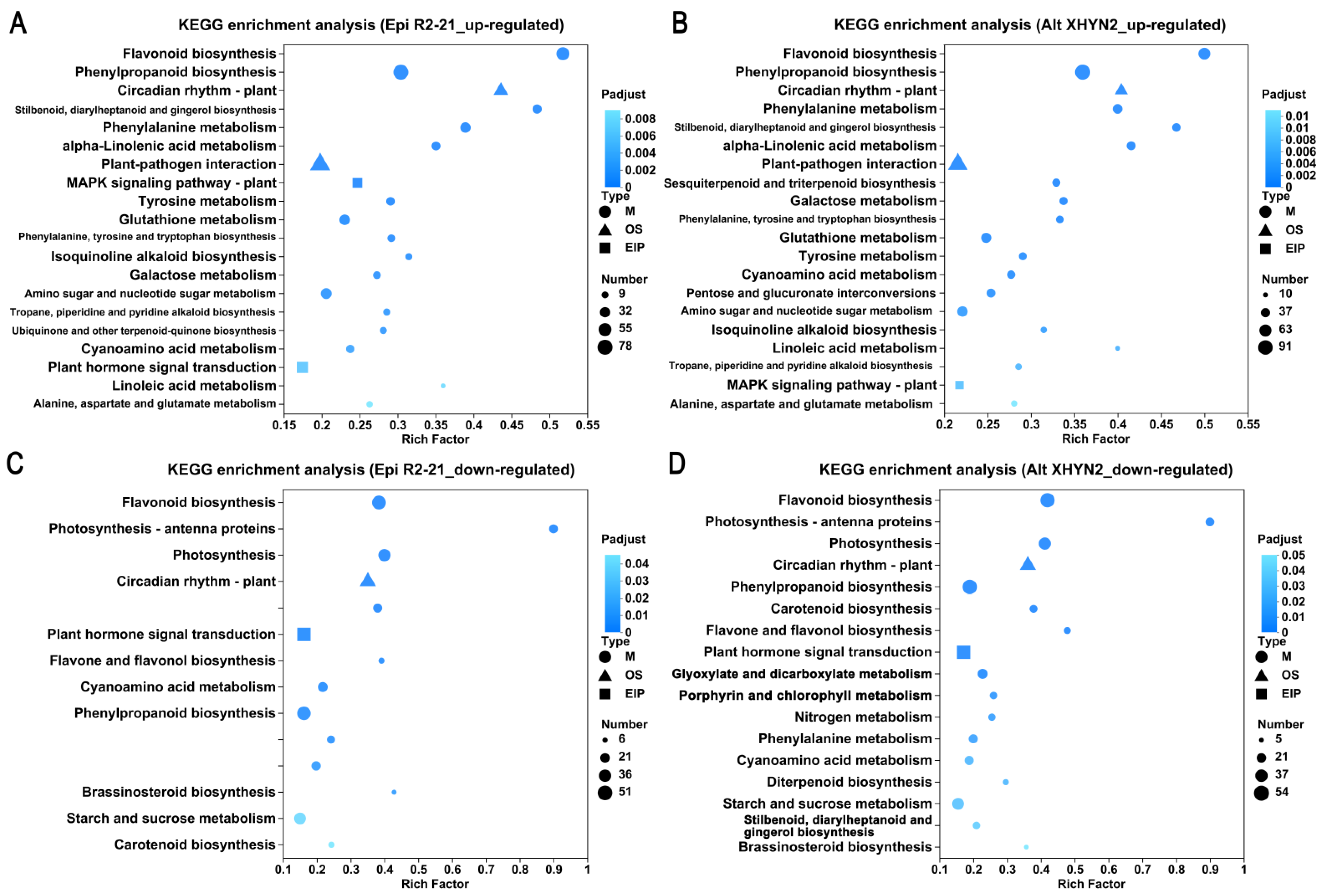 Metabolites 14 00402 g005 Metabolites 14 00402 g005