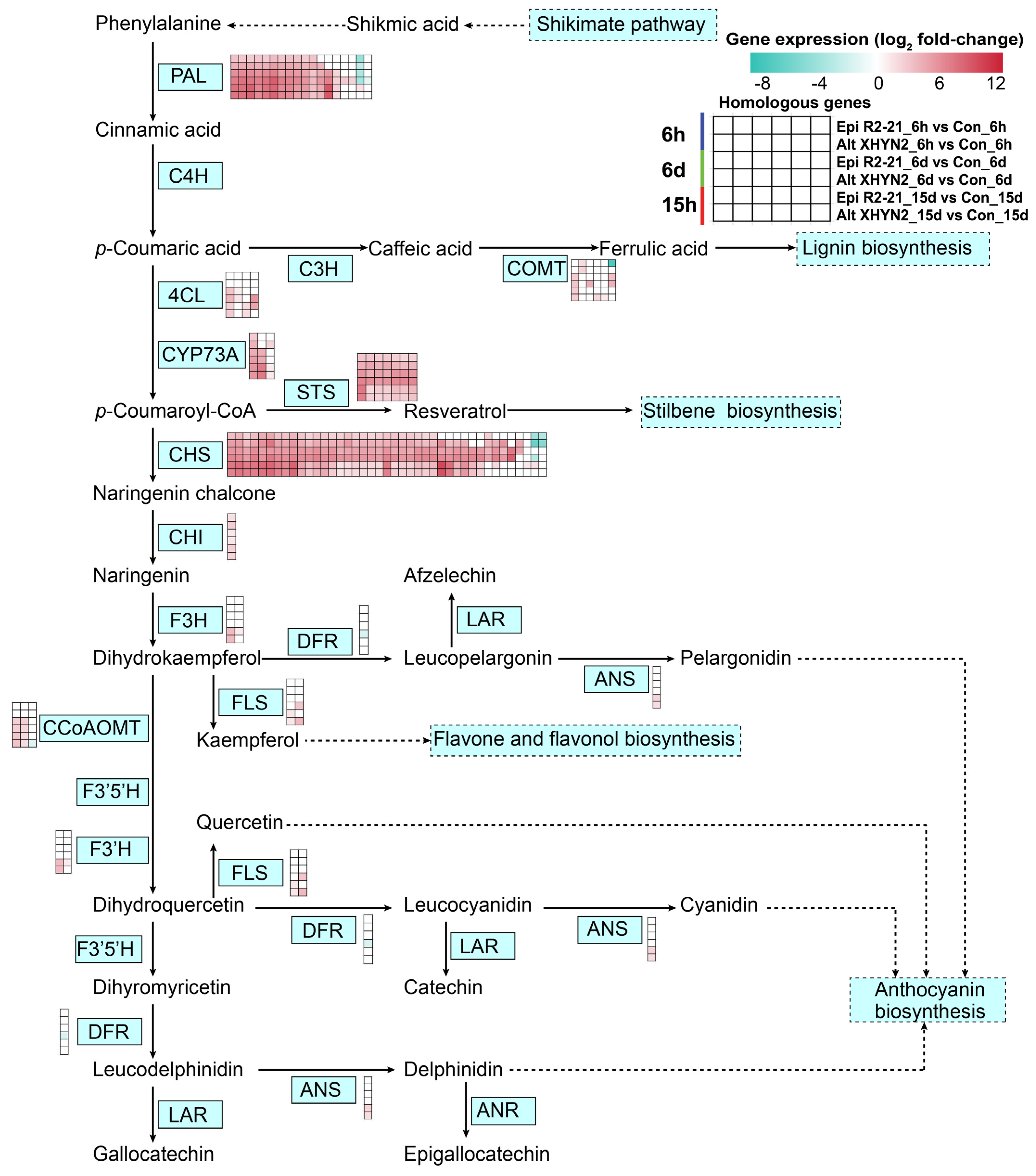 Metabolites 14 00402 g008 Metabolites 14 00402 g008