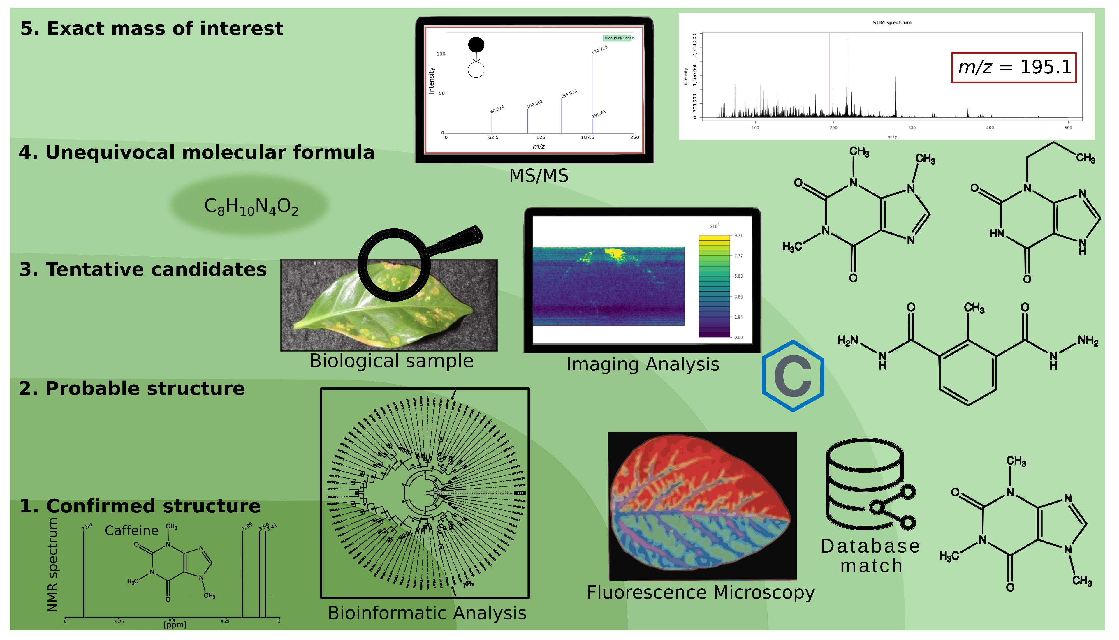 Metabolites 14 00419 g001