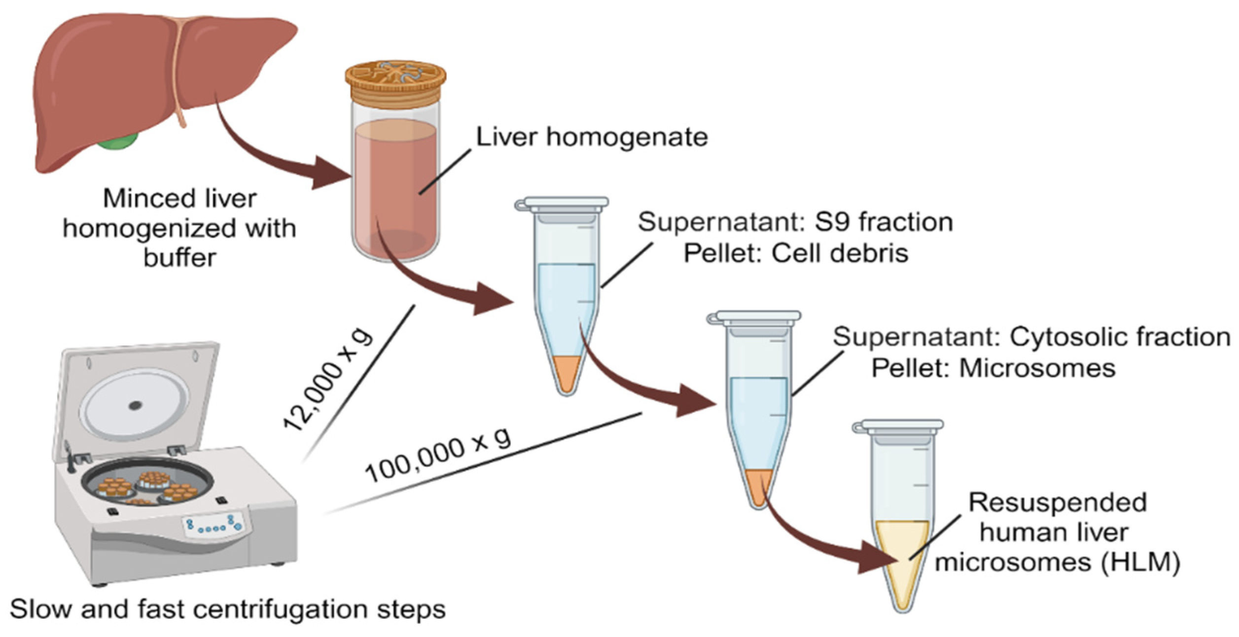 Metabolites 14 00429 sch001 Metabolites 14 00429 sch001