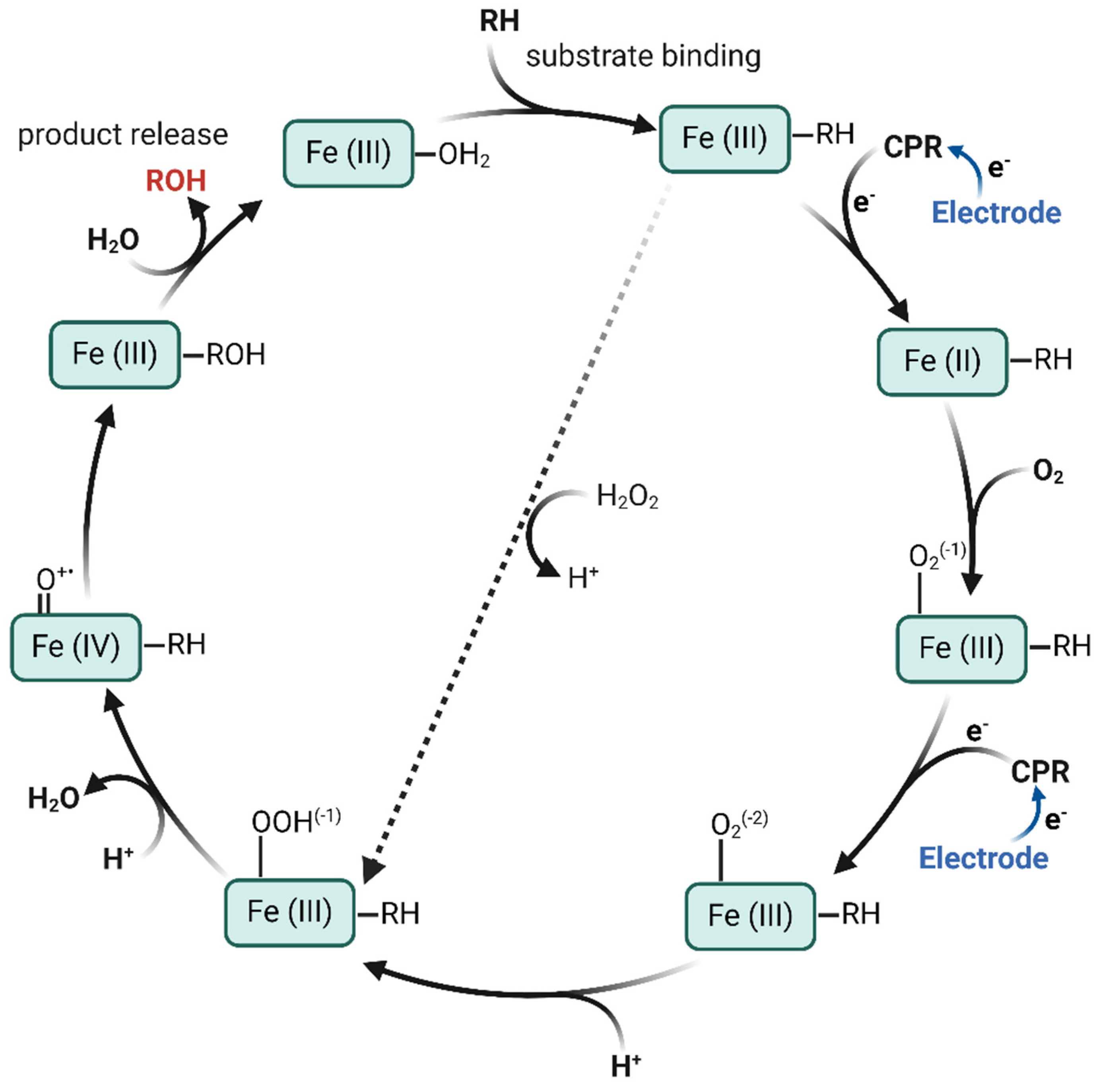 Metabolites 14 00429 sch002 Metabolites 14 00429 sch002