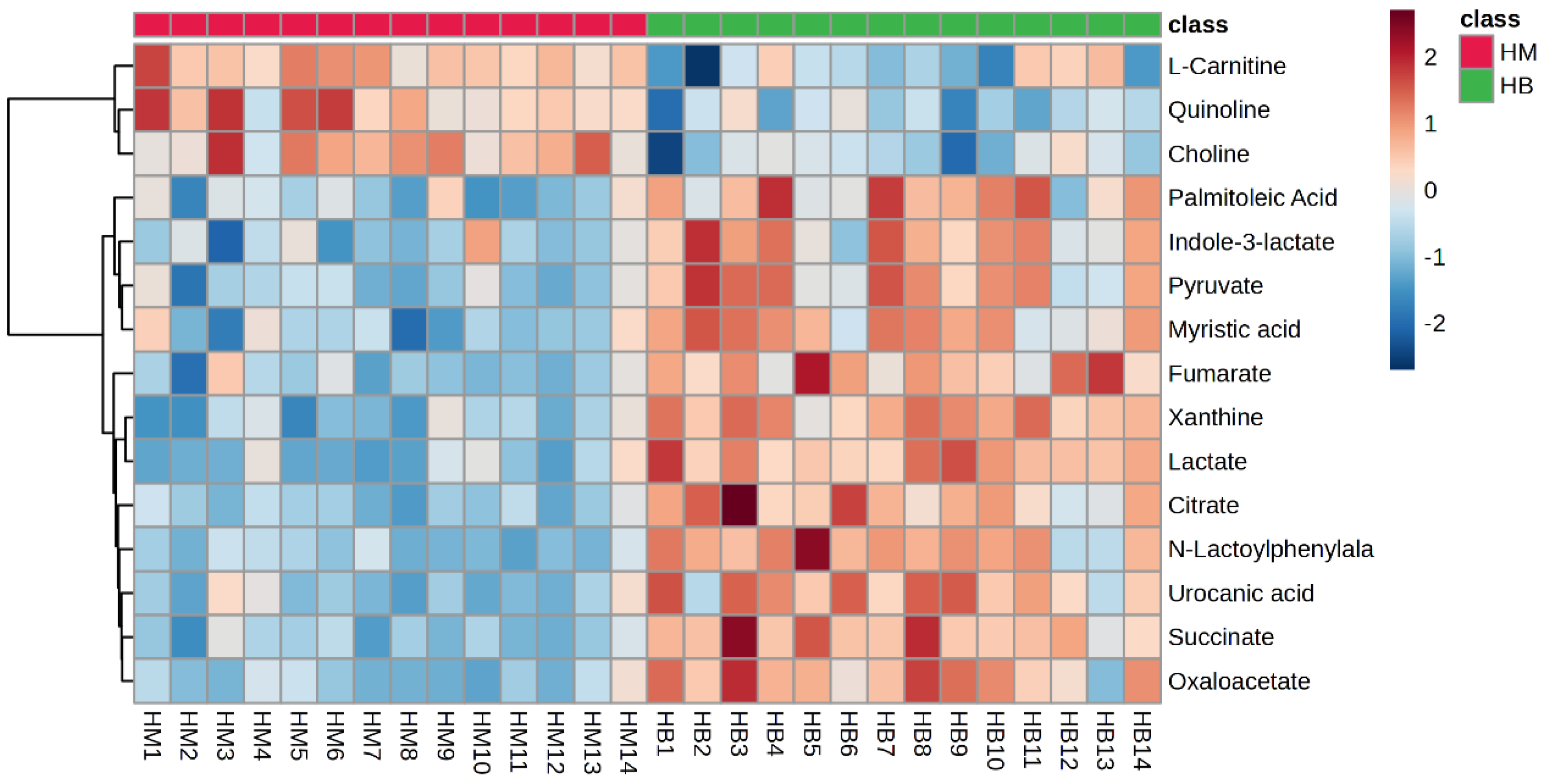 Metabolites 14 00433 g010