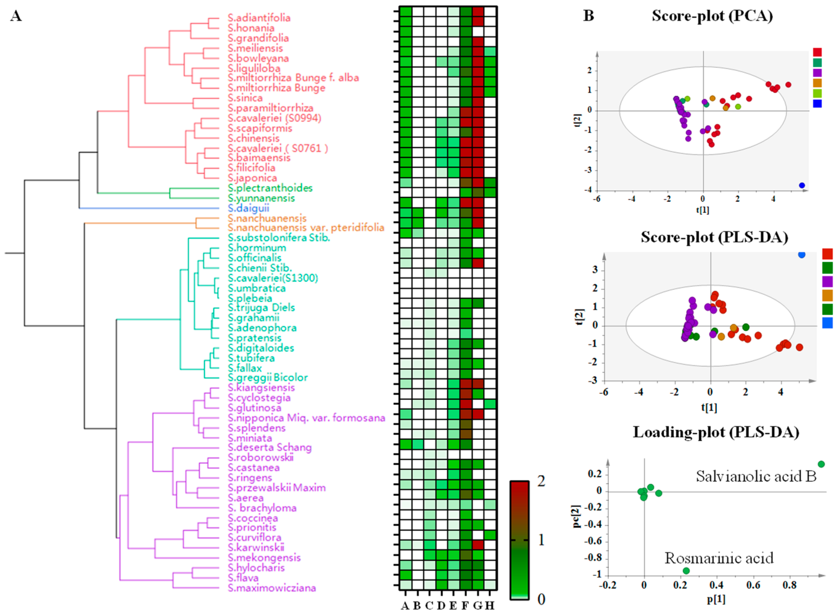 Metabolites 14 00441 g003