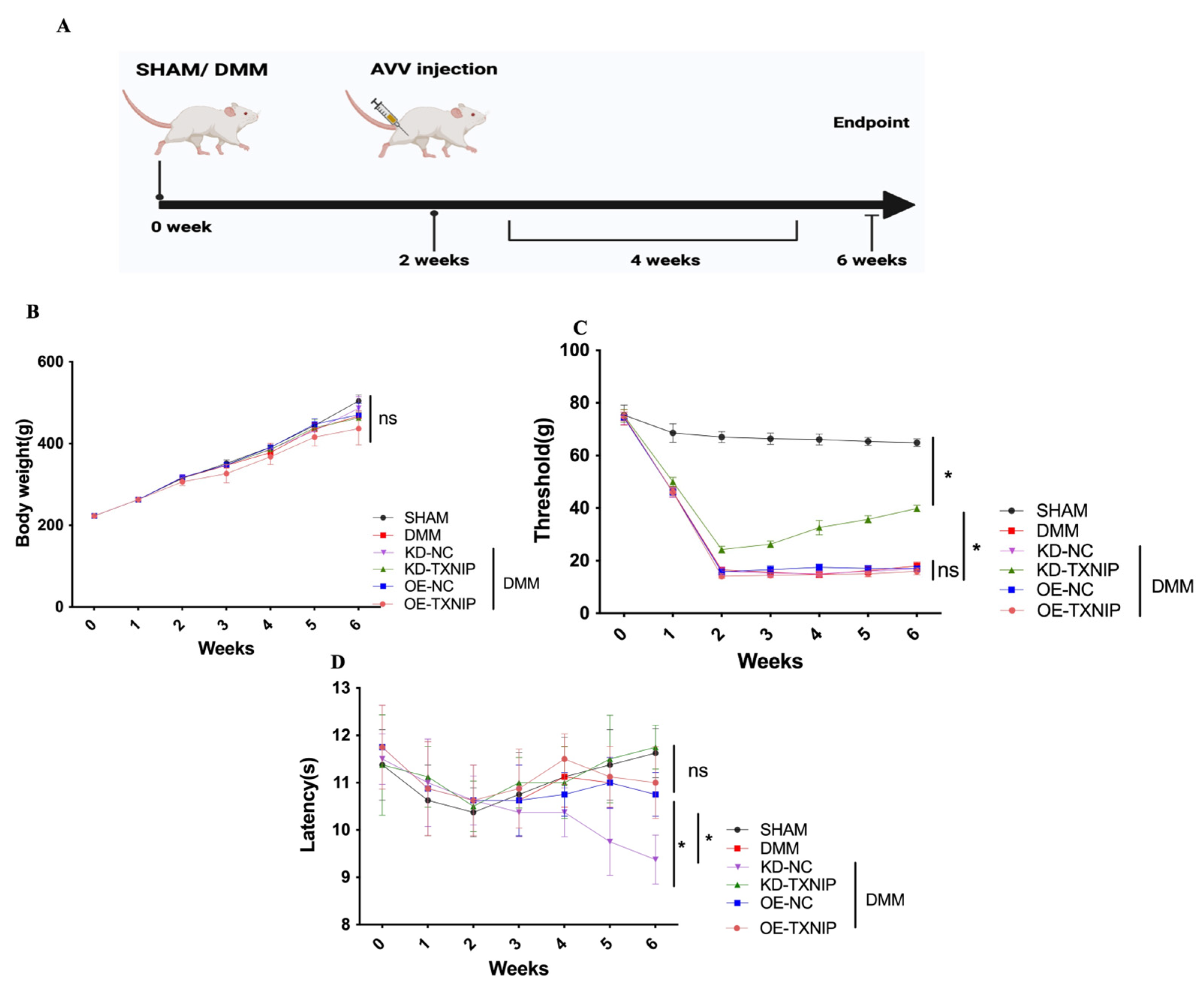 Metabolites 14 00488 g001