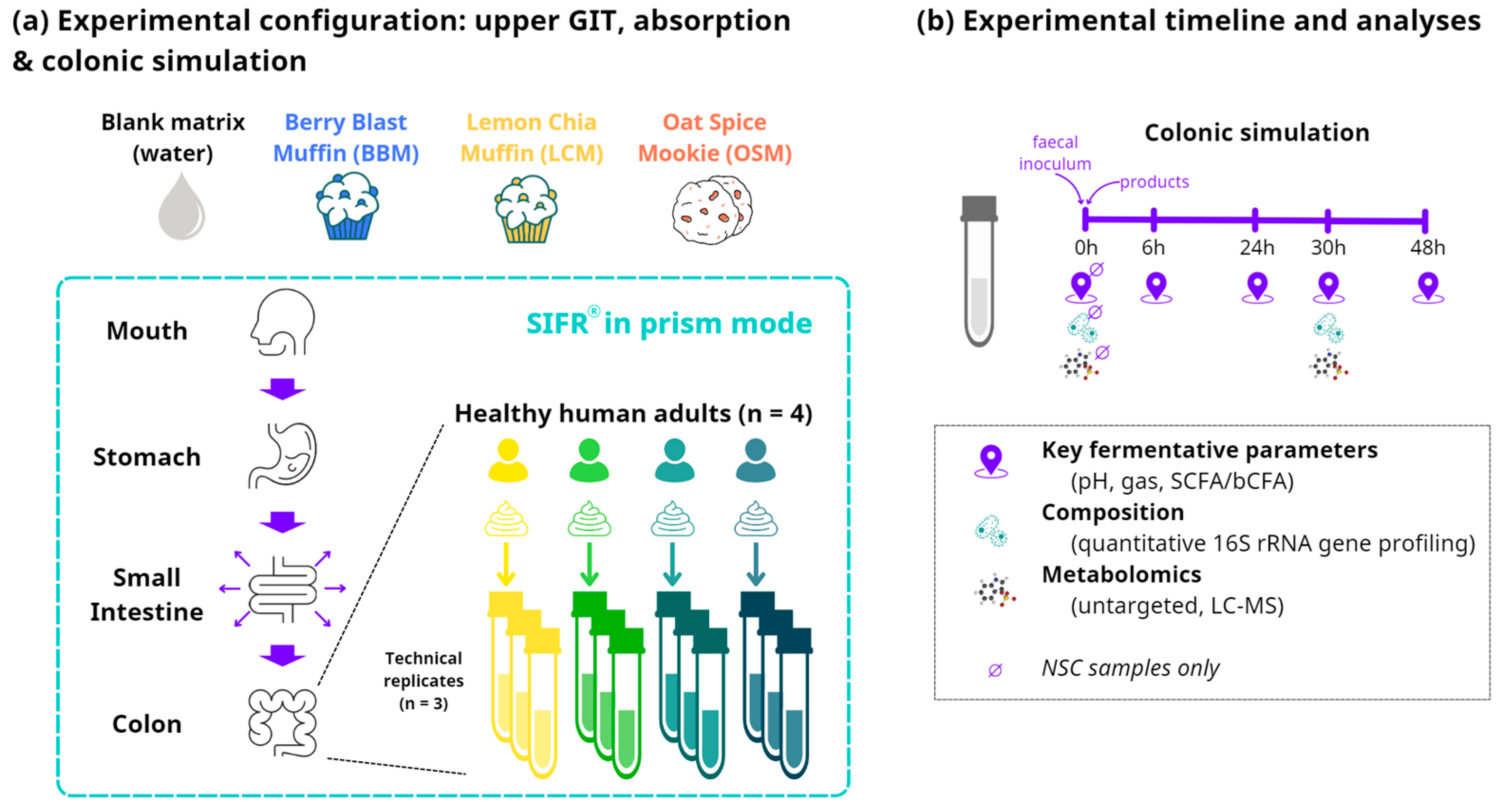 Metabolites 14 00497 g001