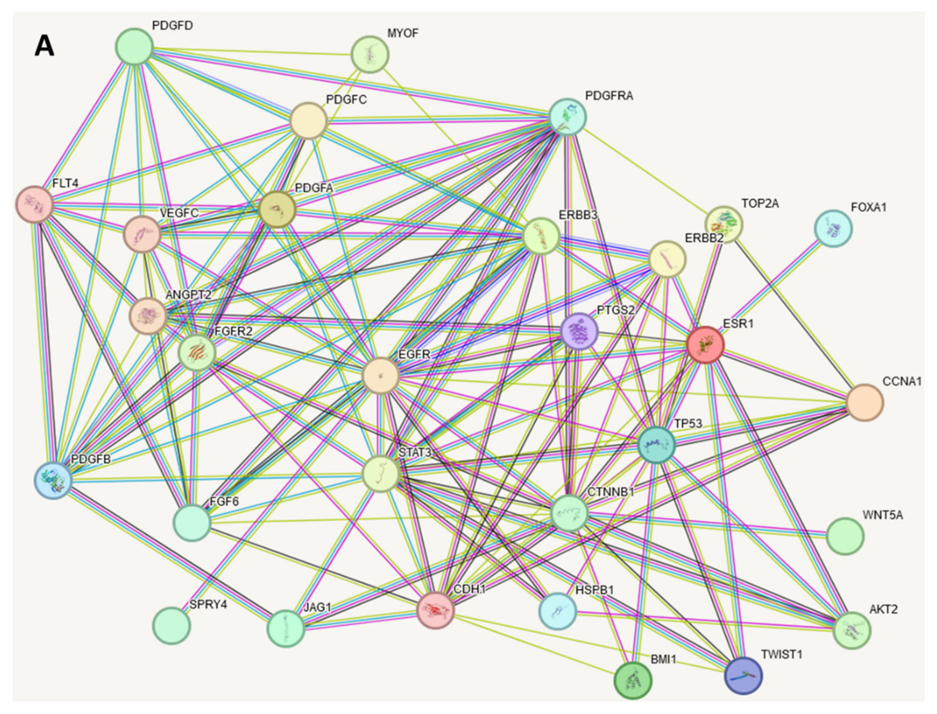 Metabolites 14 00501 g002a Metabolites 14 00501 g002a