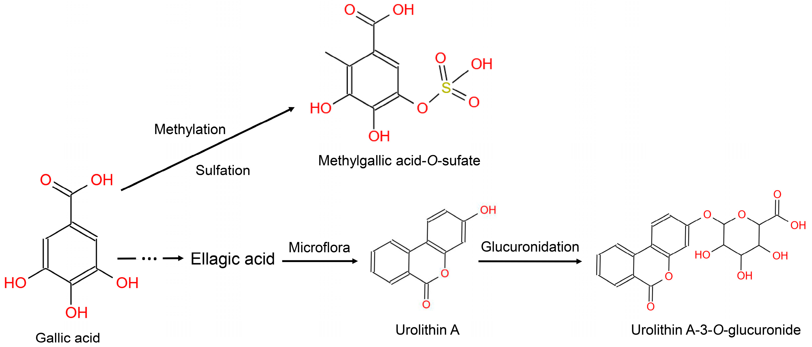 Metabolites 14 00505 g003
