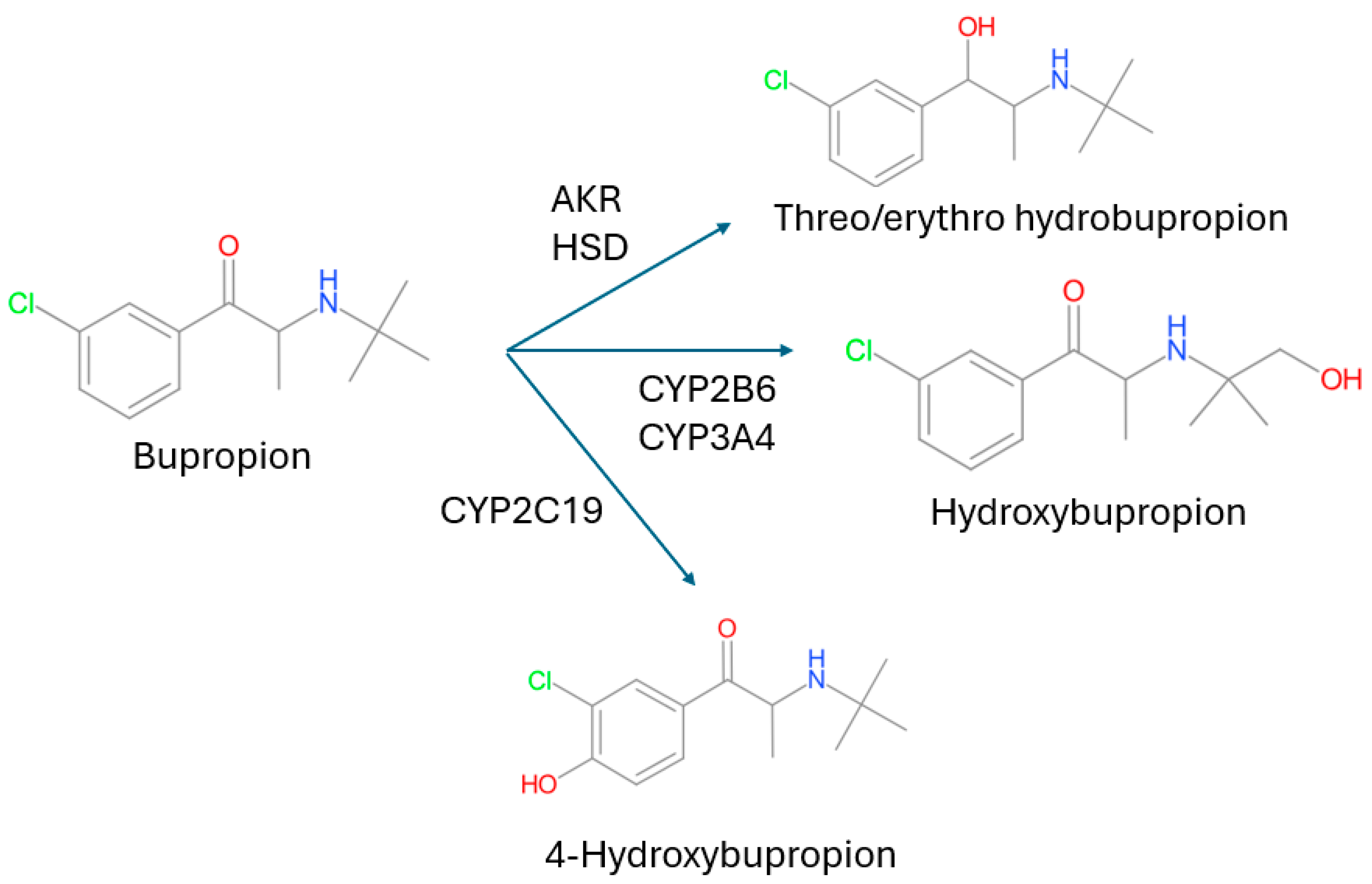 Metabolites 14 00522 g003