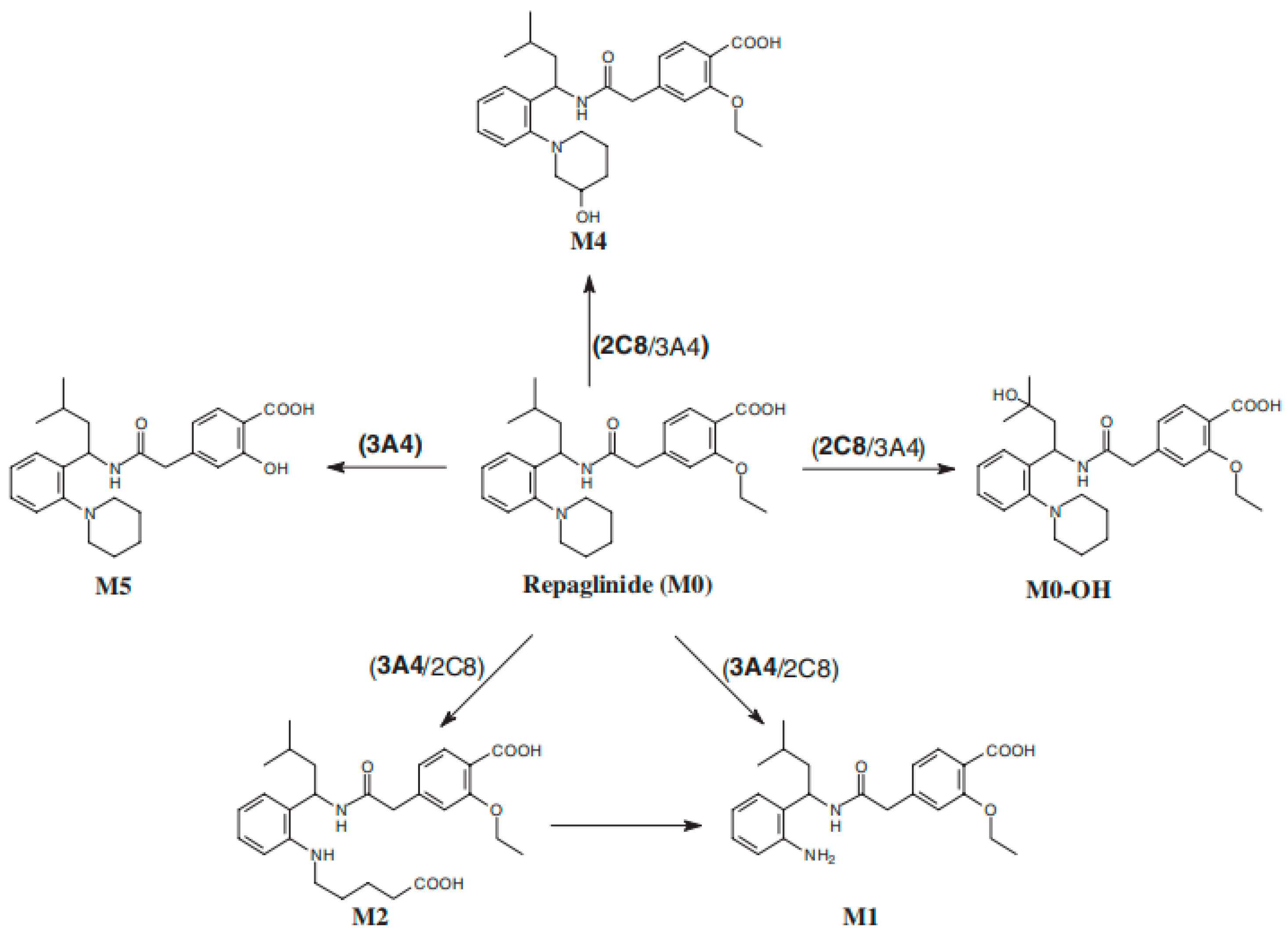 Metabolites 14 00522 g005