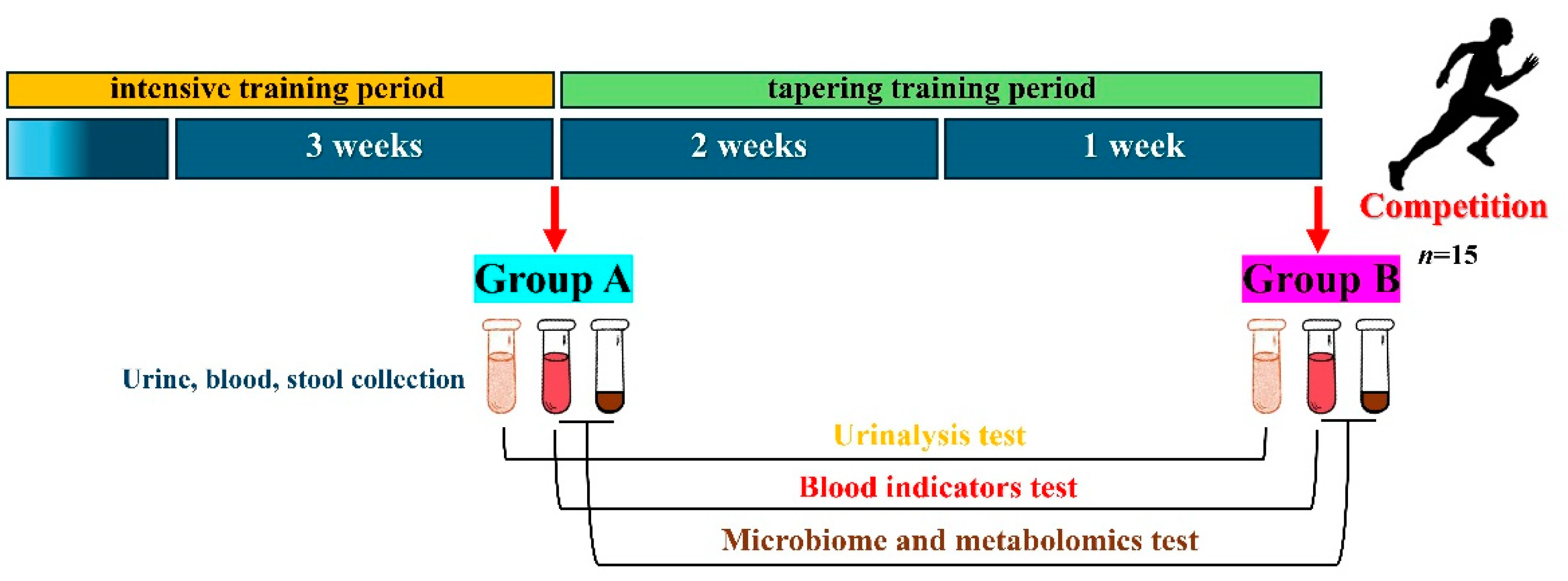 Metabolites 14 00527 g001