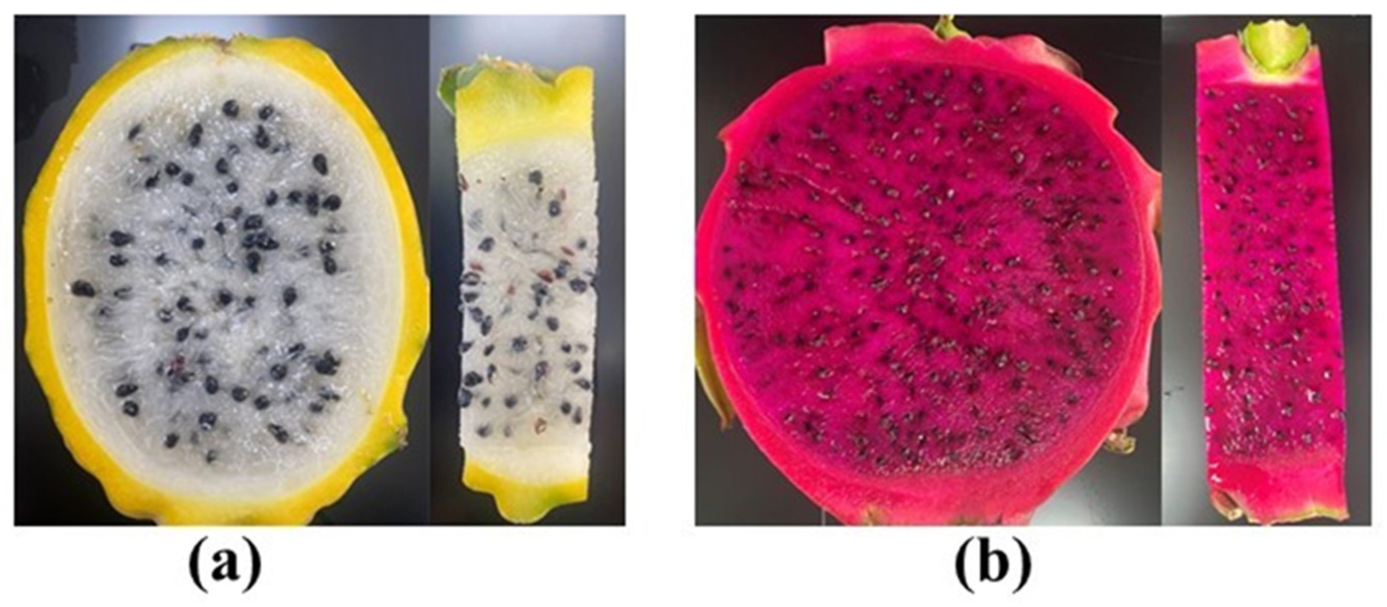 Metabolites 14 00577 g001