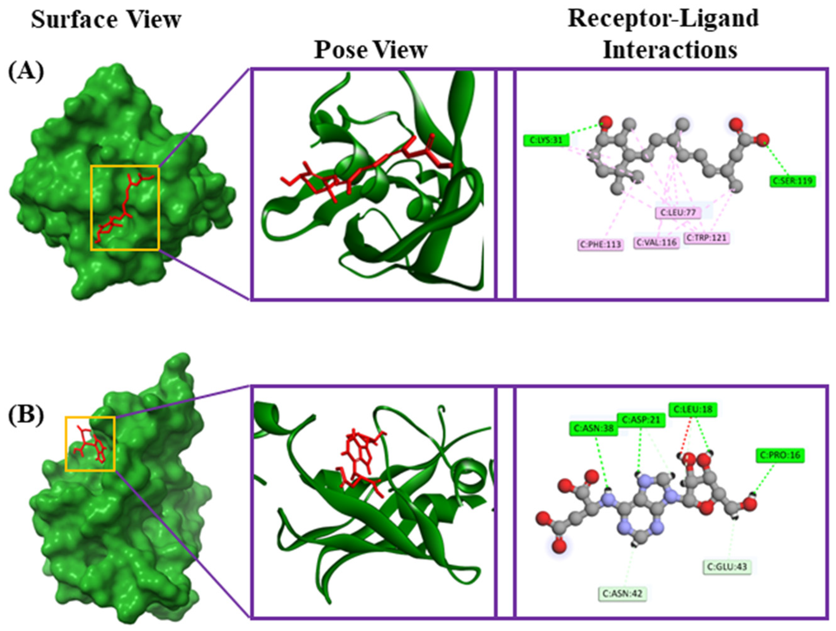 Metabolites 14 00577 g007