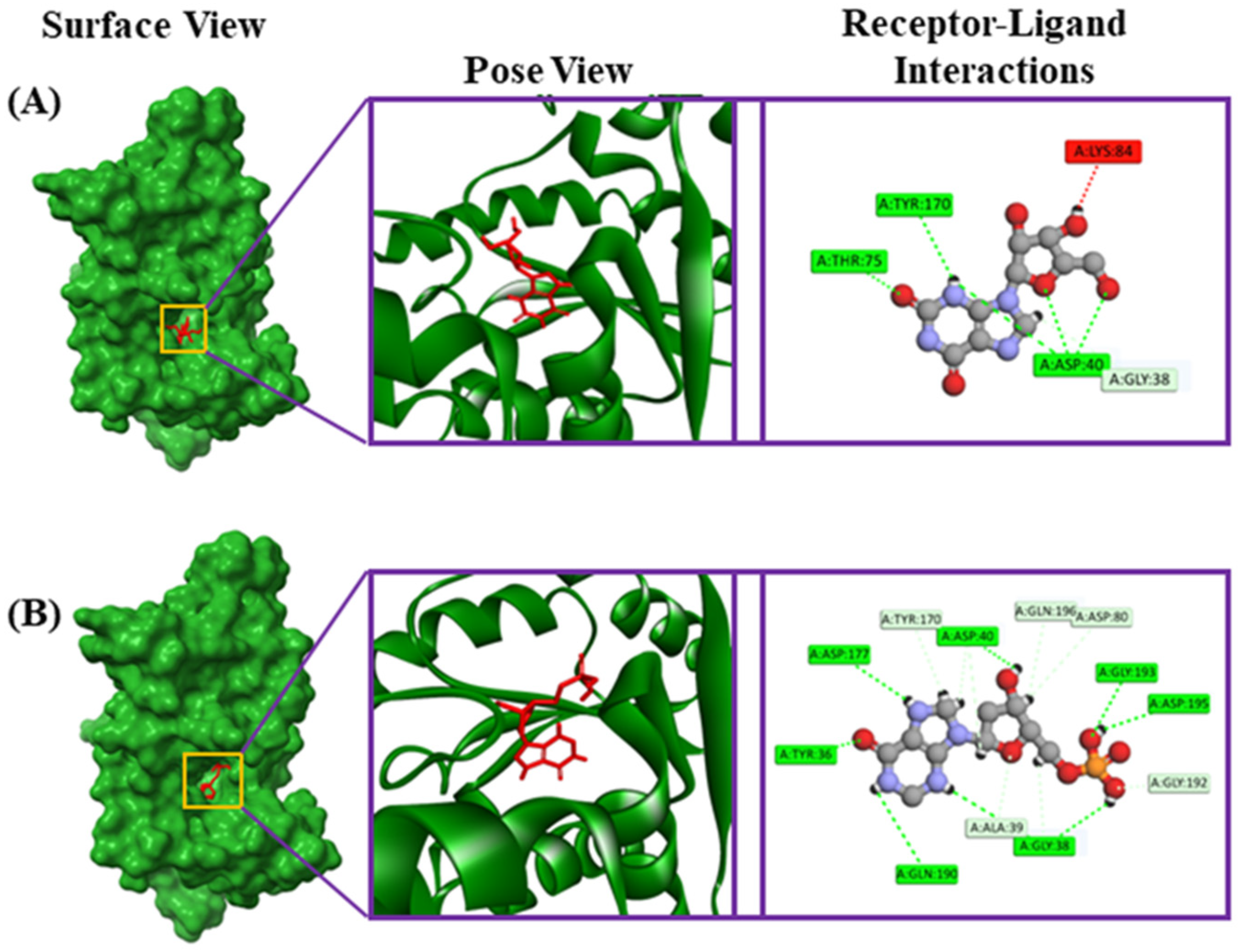 Metabolites 14 00577 g008