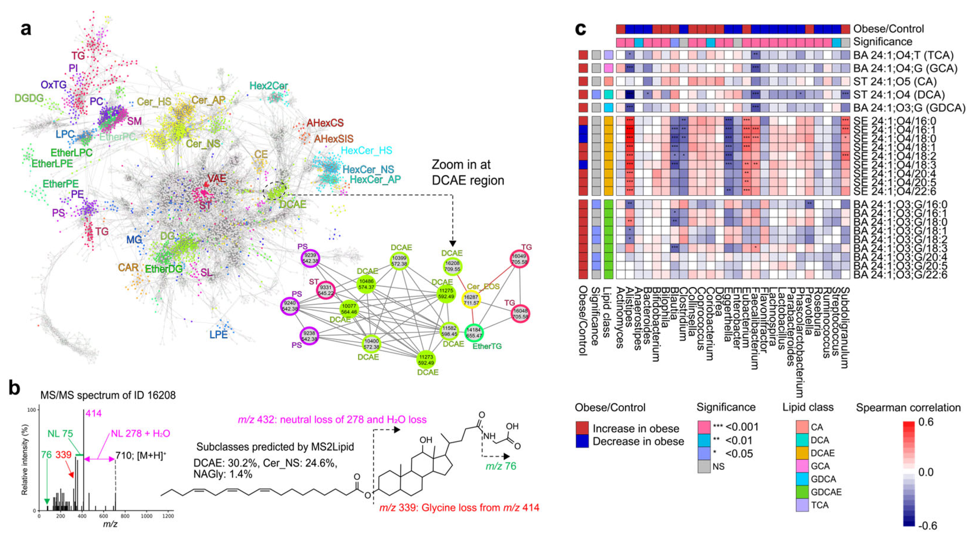 Metabolites 14 00602 g005