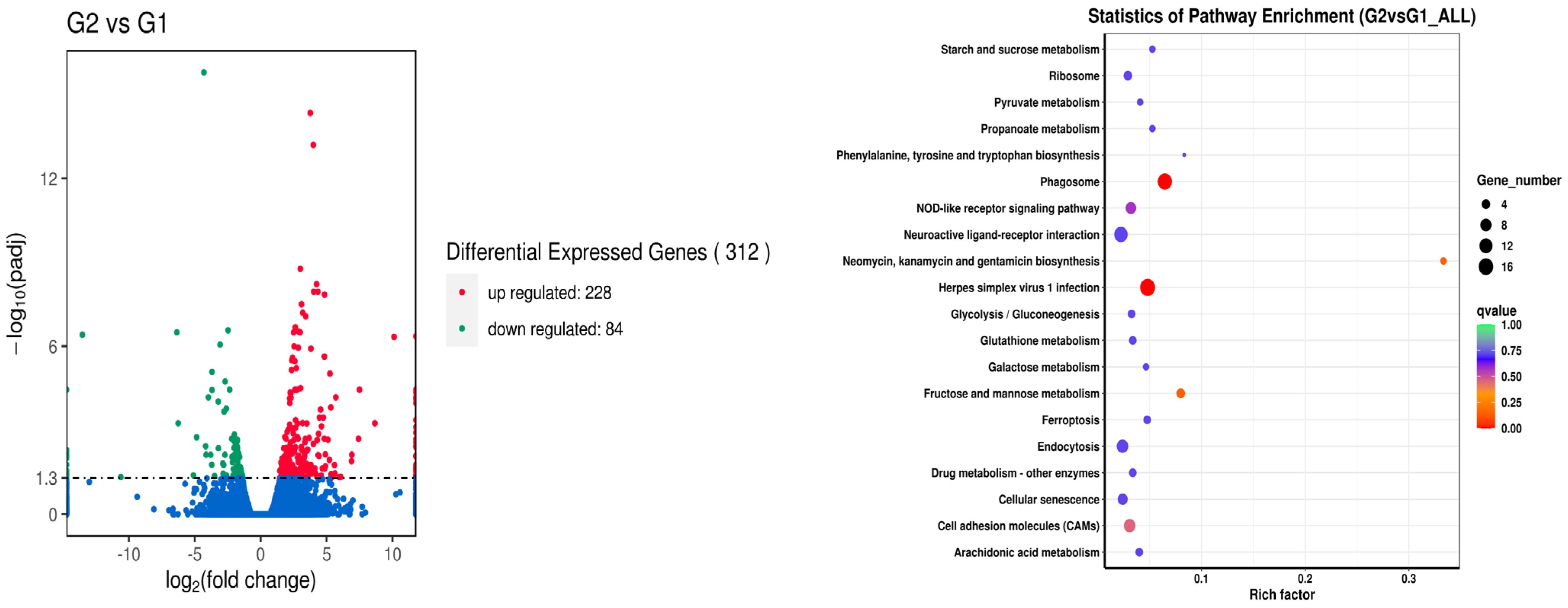 Metabolites 14 00616 g001
