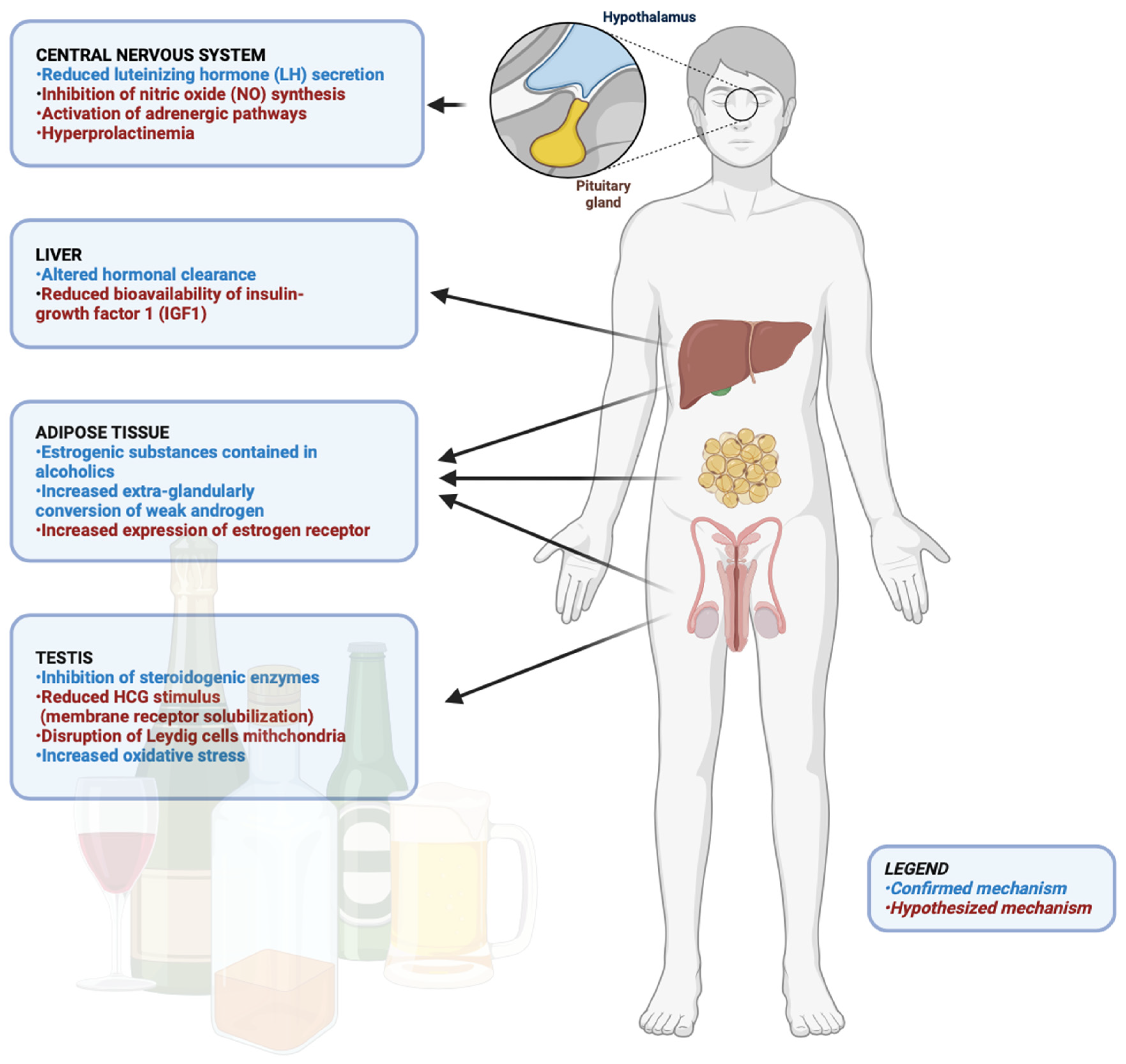 Metabolites 14 00626 g001