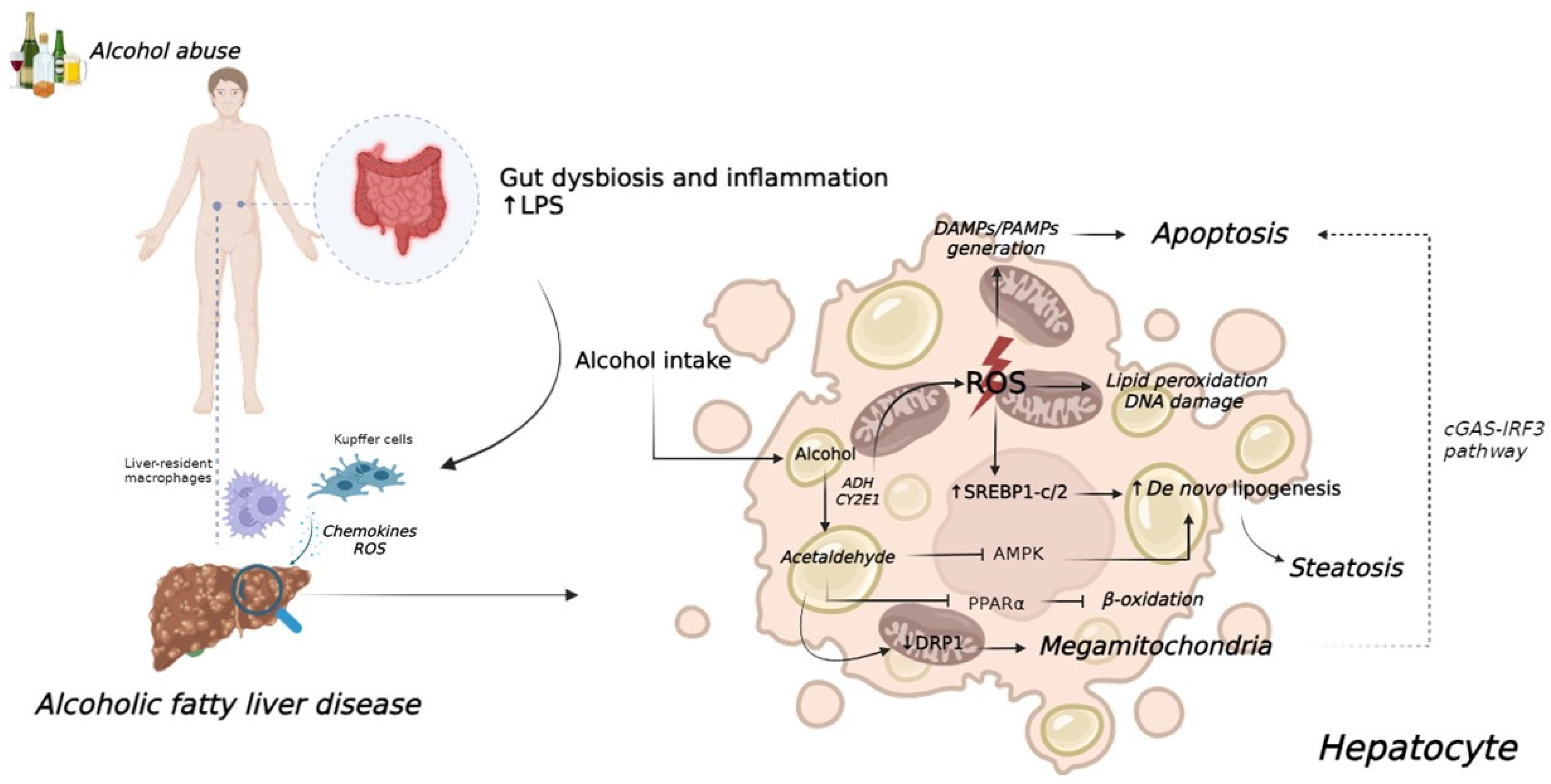 Metabolites 14 00626 g002