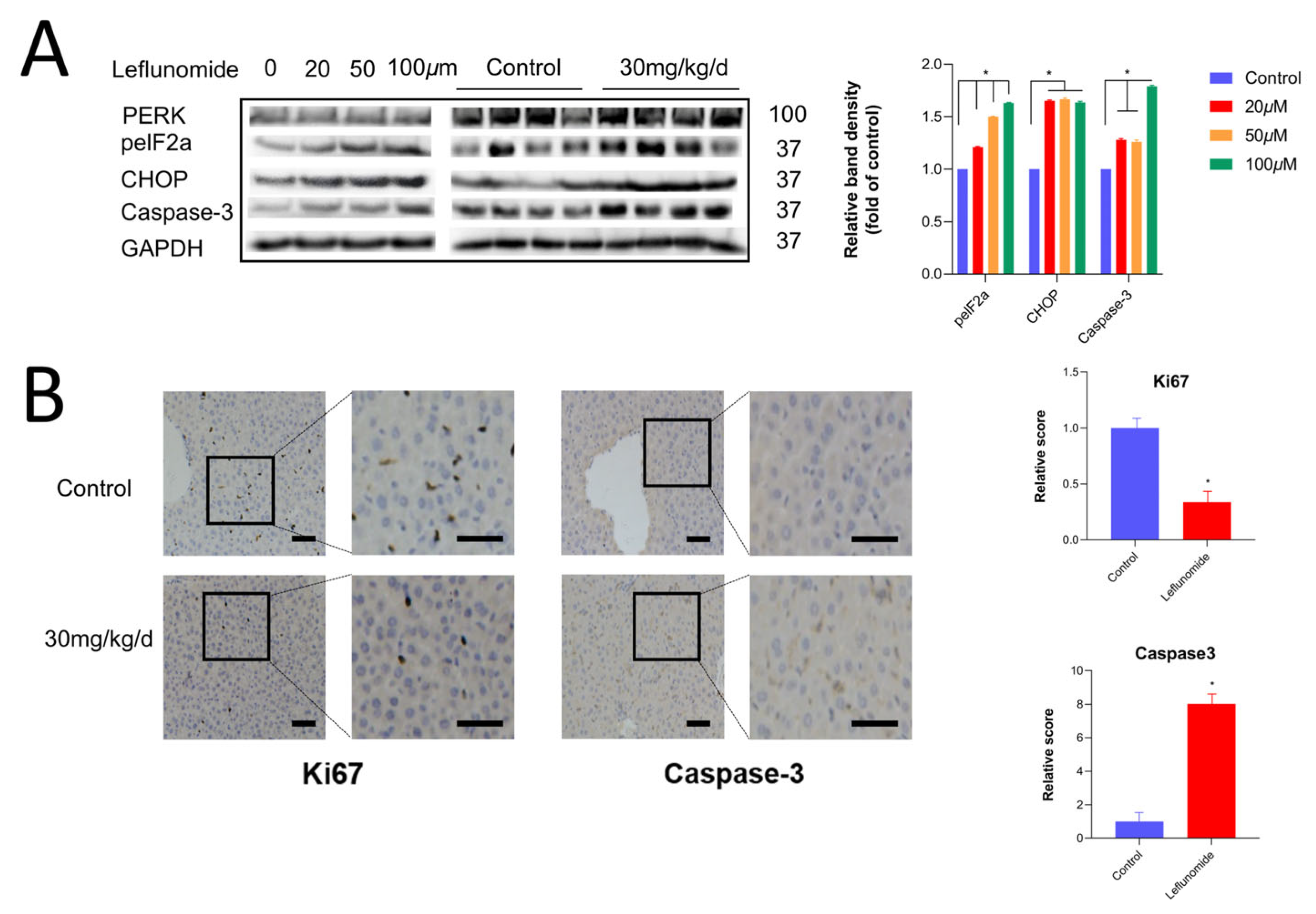 Metabolites 14 00645 g005