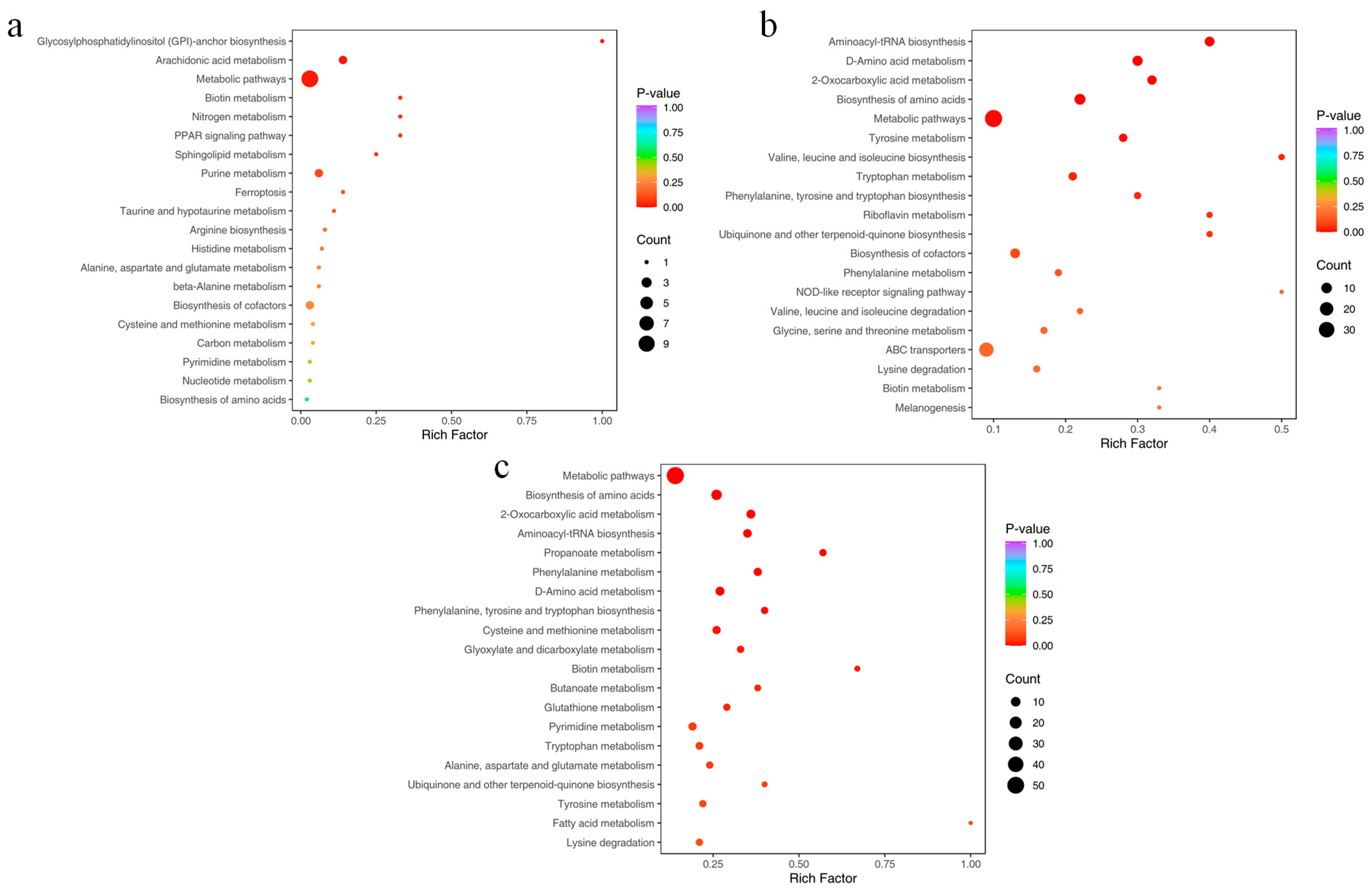 Metabolites 14 00649 g009