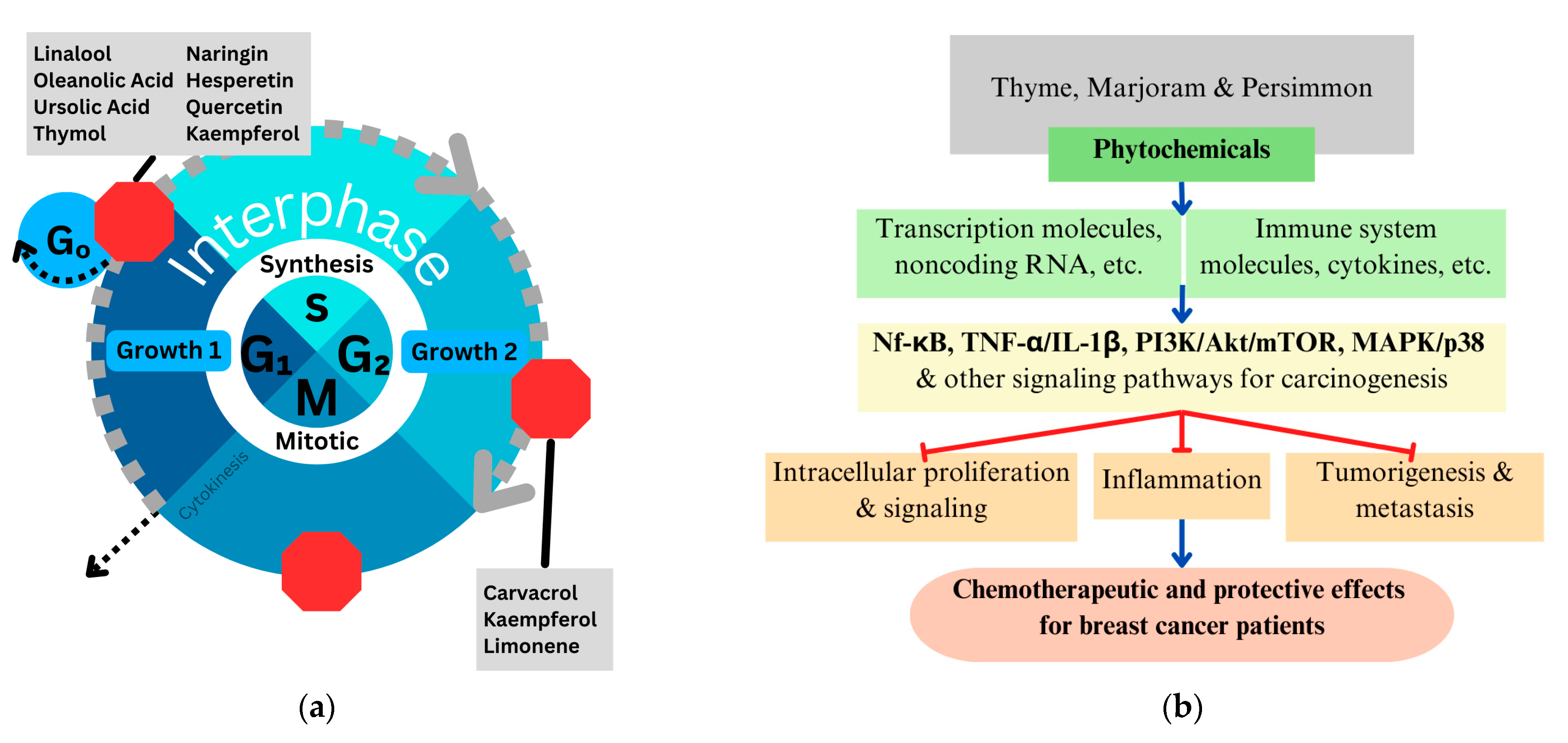 Metabolites 14 00652 g002