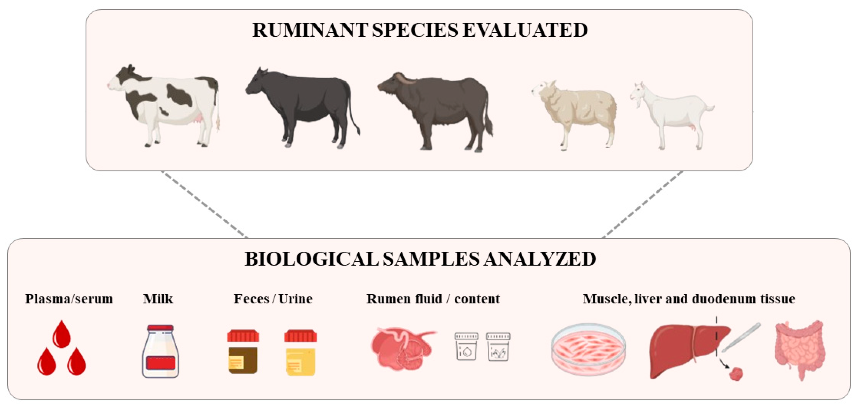 Metabolites 14 00675 g003 Metabolites 14 00675 g003