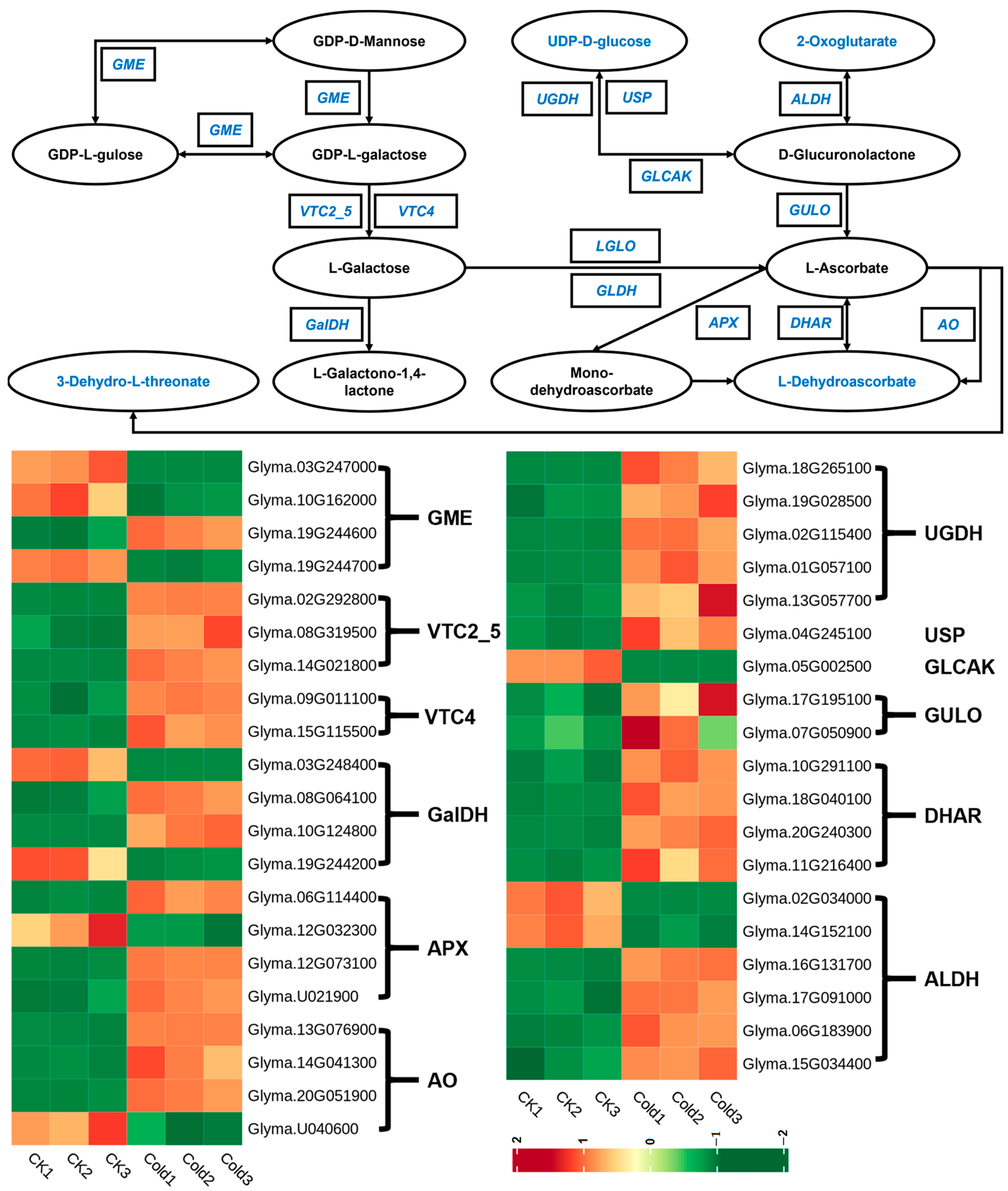 Metabolites 14 00687 g004