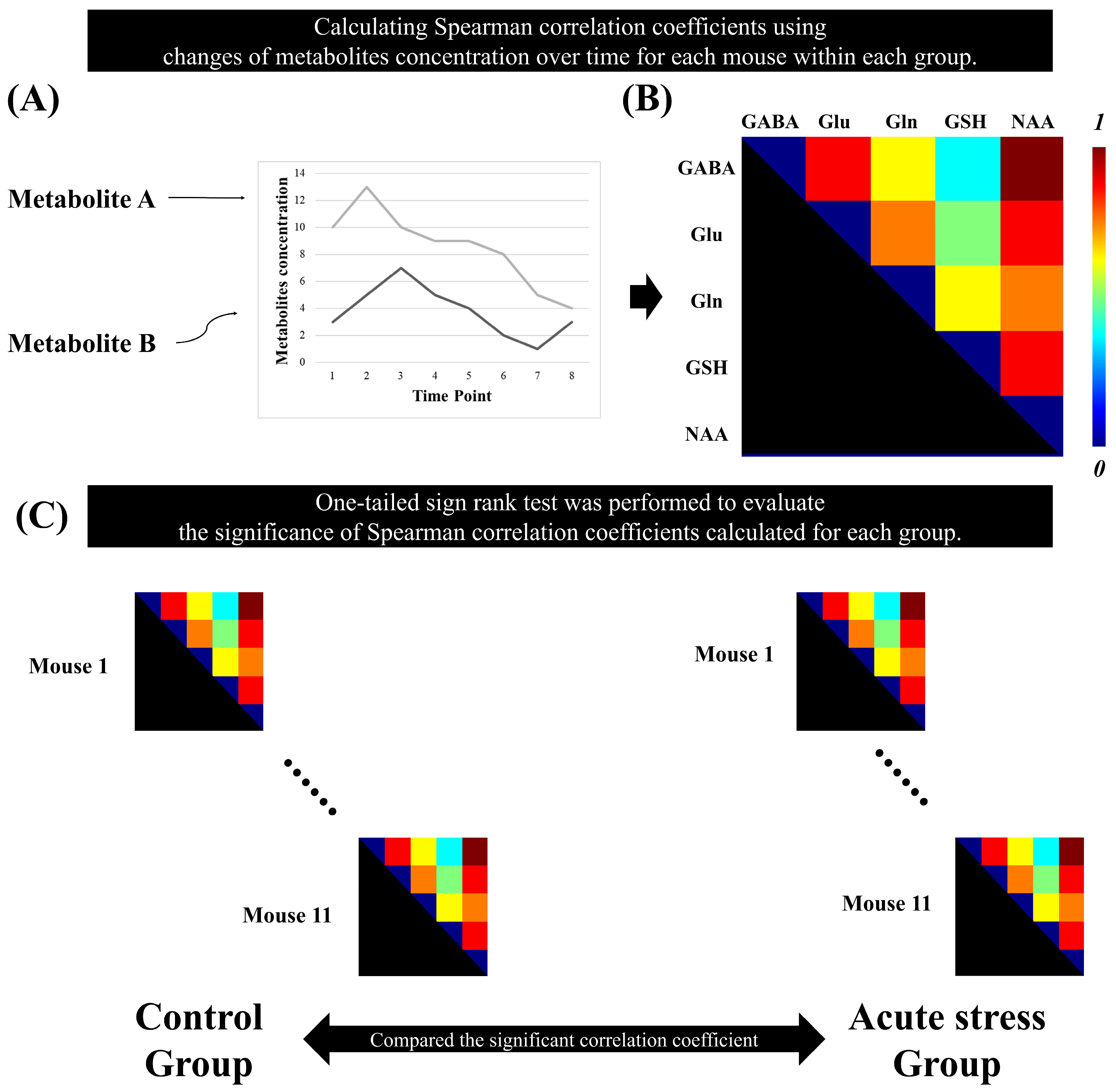 Metabolites 14 00699 g002