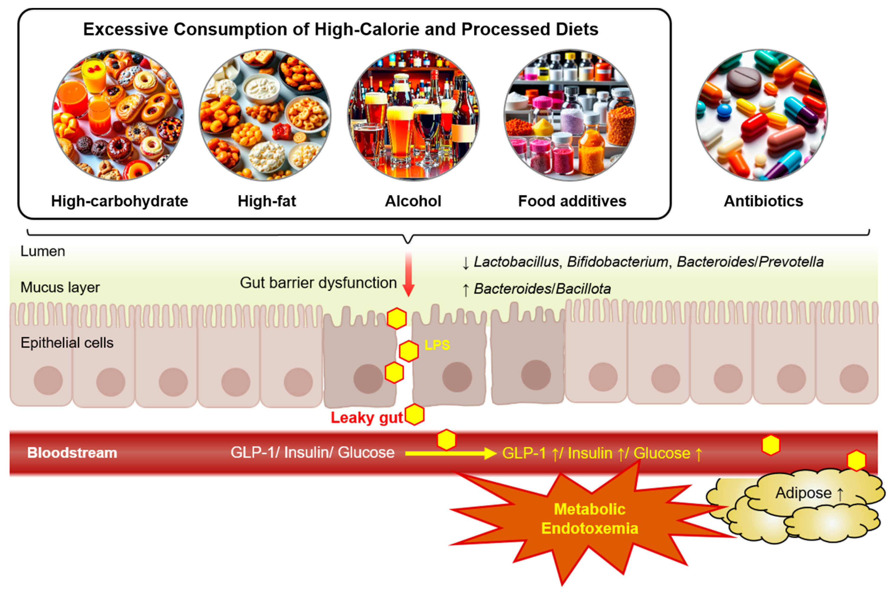 Metabolites 14 00704 g001