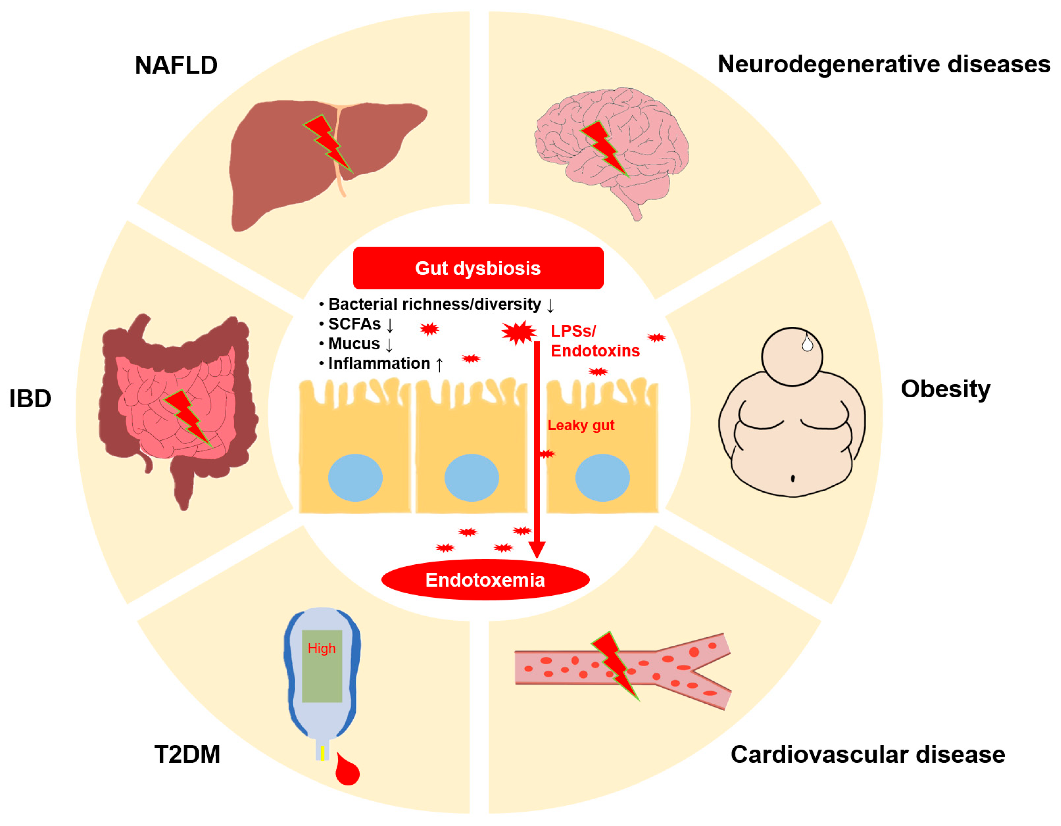 Metabolites 14 00704 g002