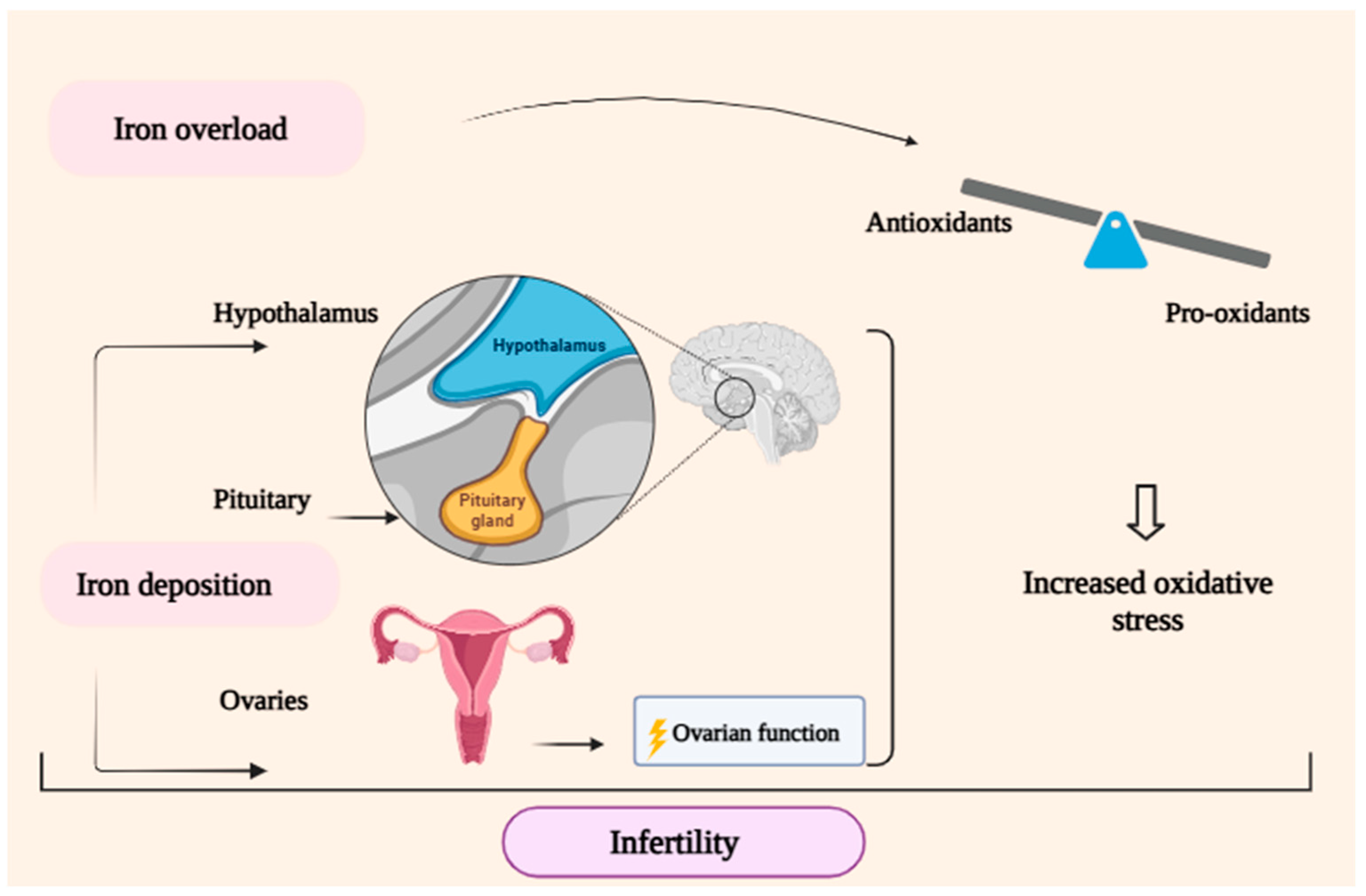 Metabolites 14 00717 g001