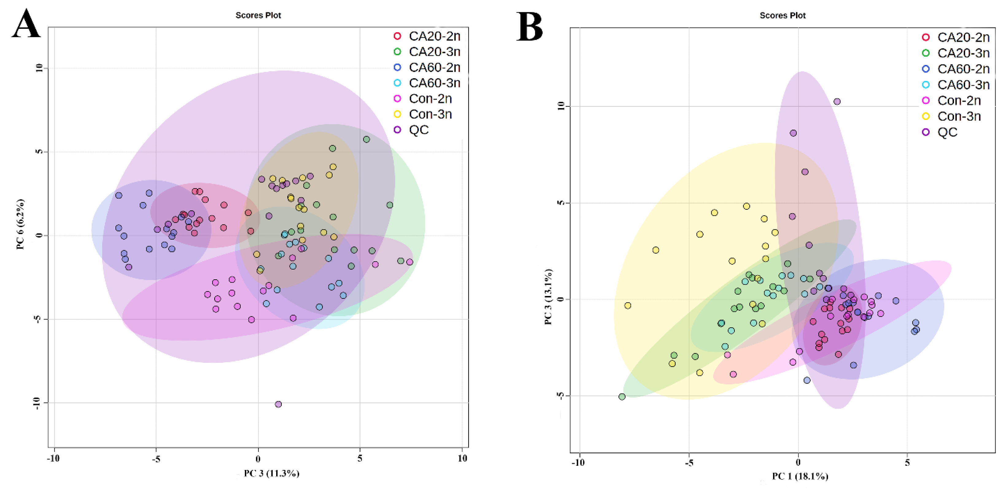 Metabolites 14 00721 g001
